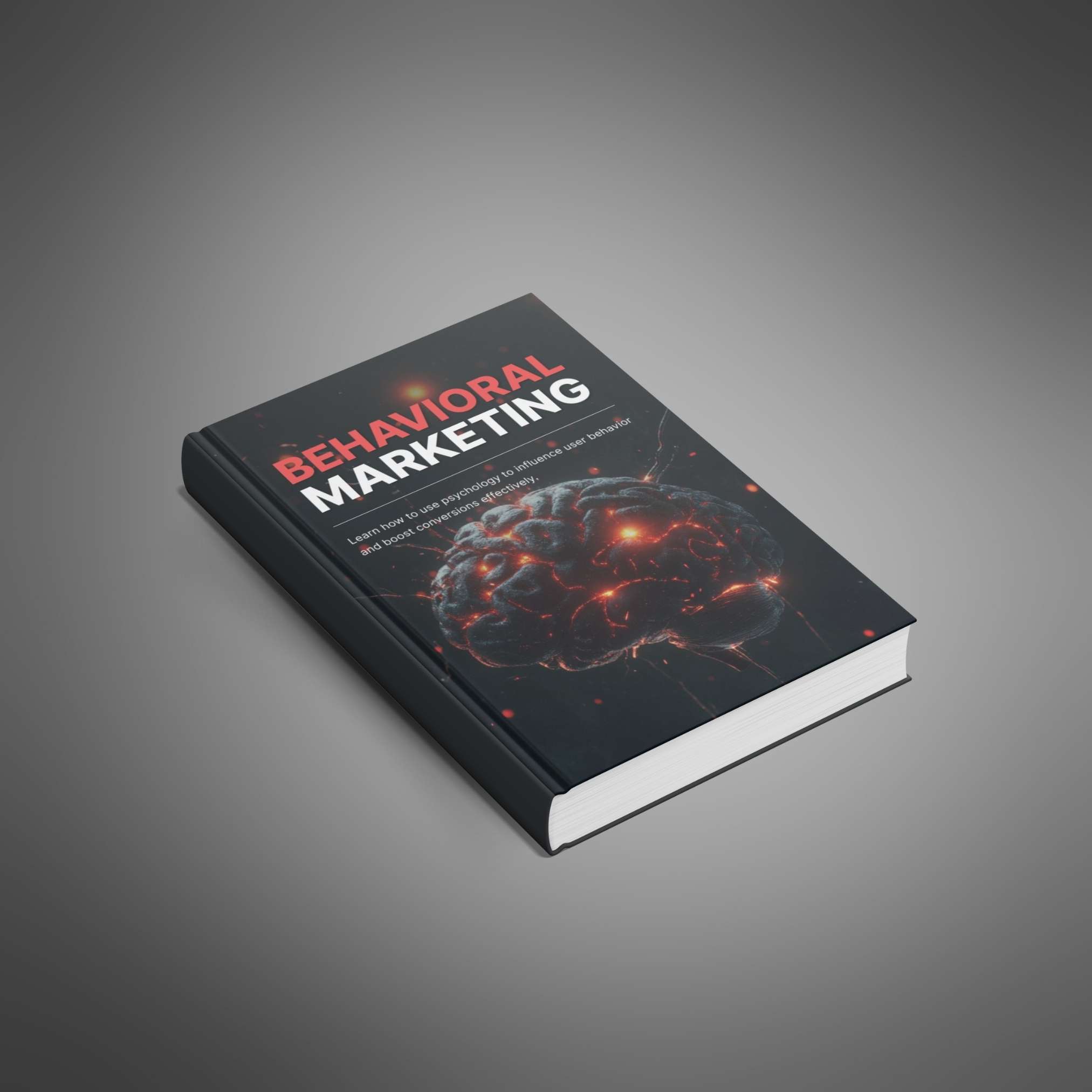 Behavioral Marketing resource preview image 2