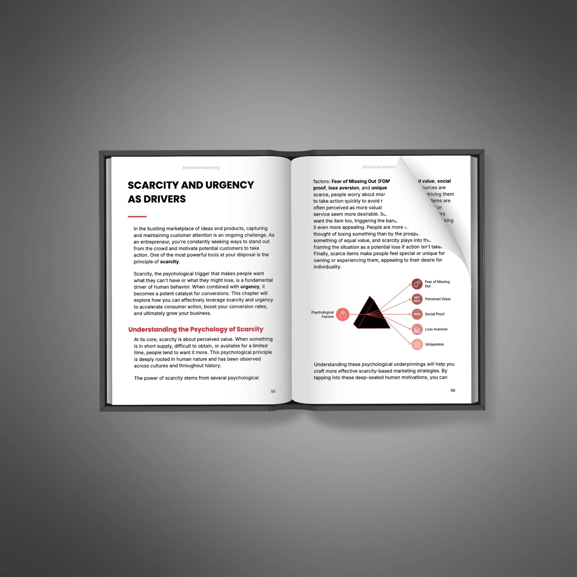 Behavioral Marketing resource preview image 3