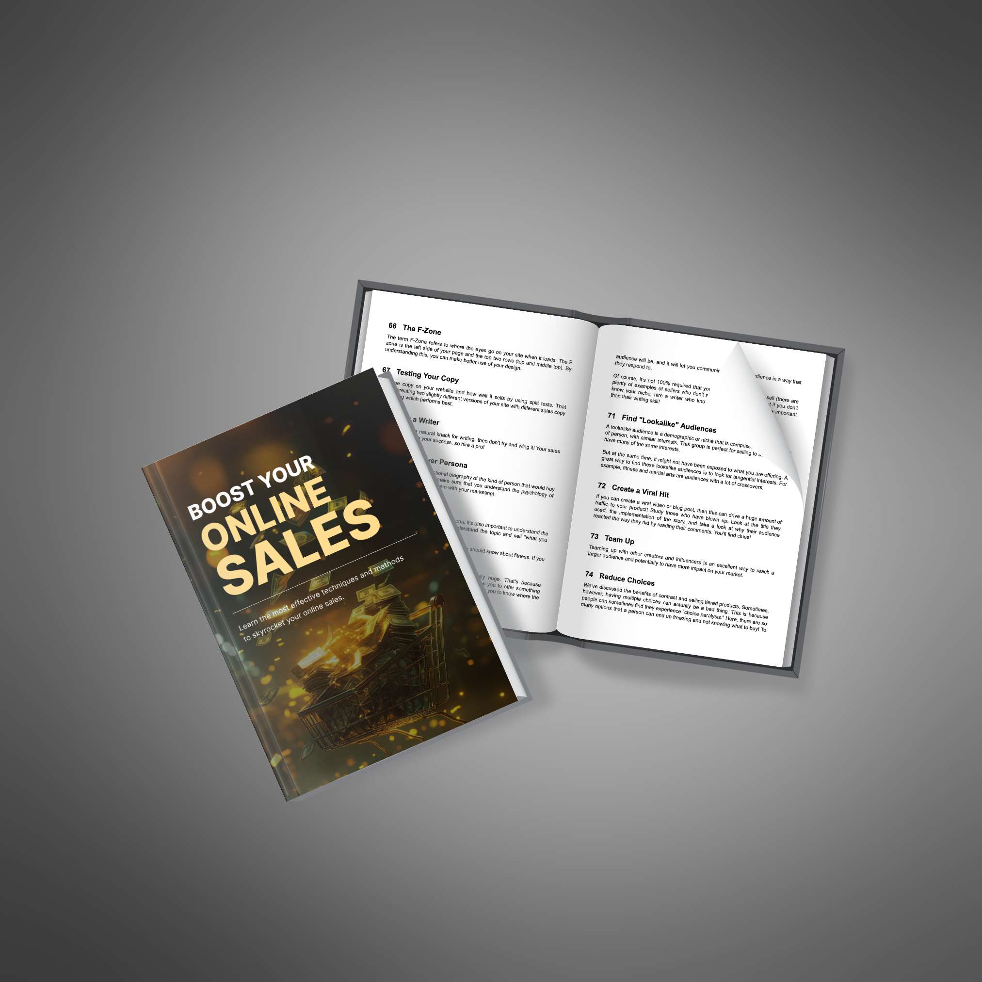 Boost Your Online Sales resource preview image 3