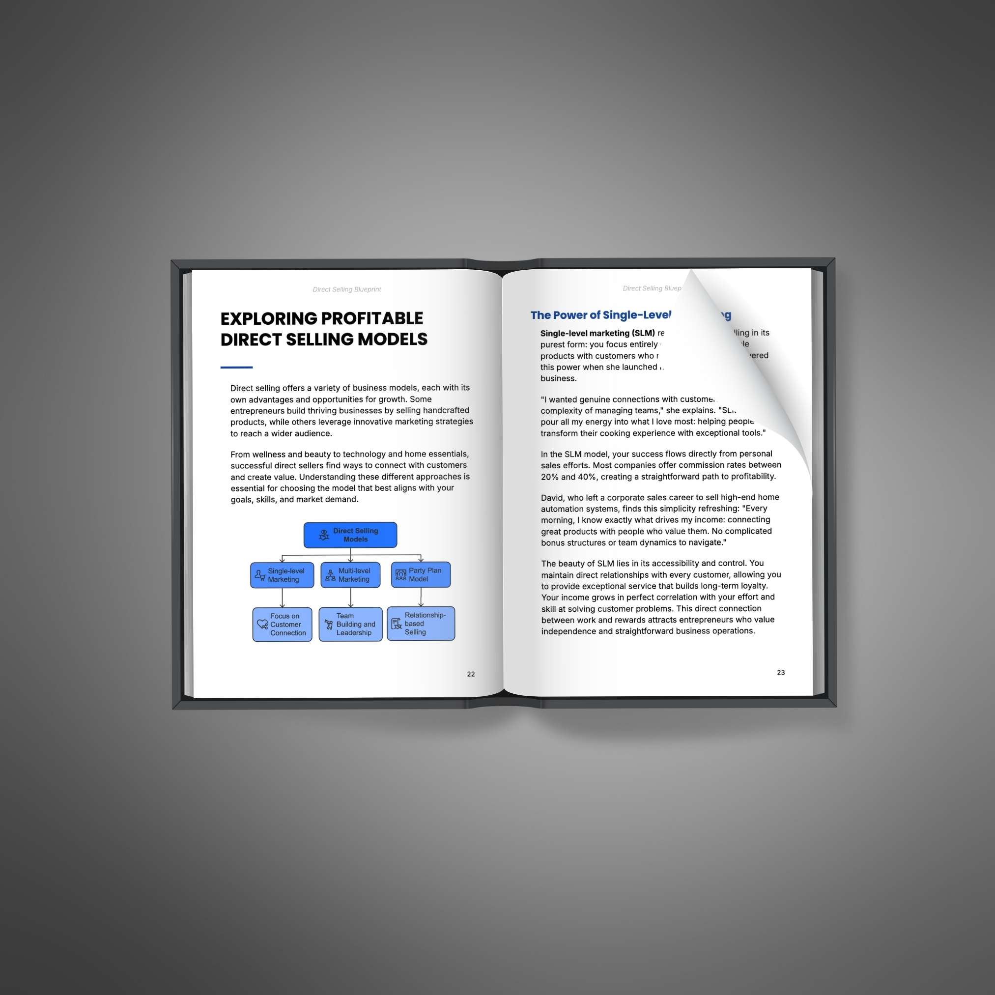 Direct Selling Blueprint resource preview image 3