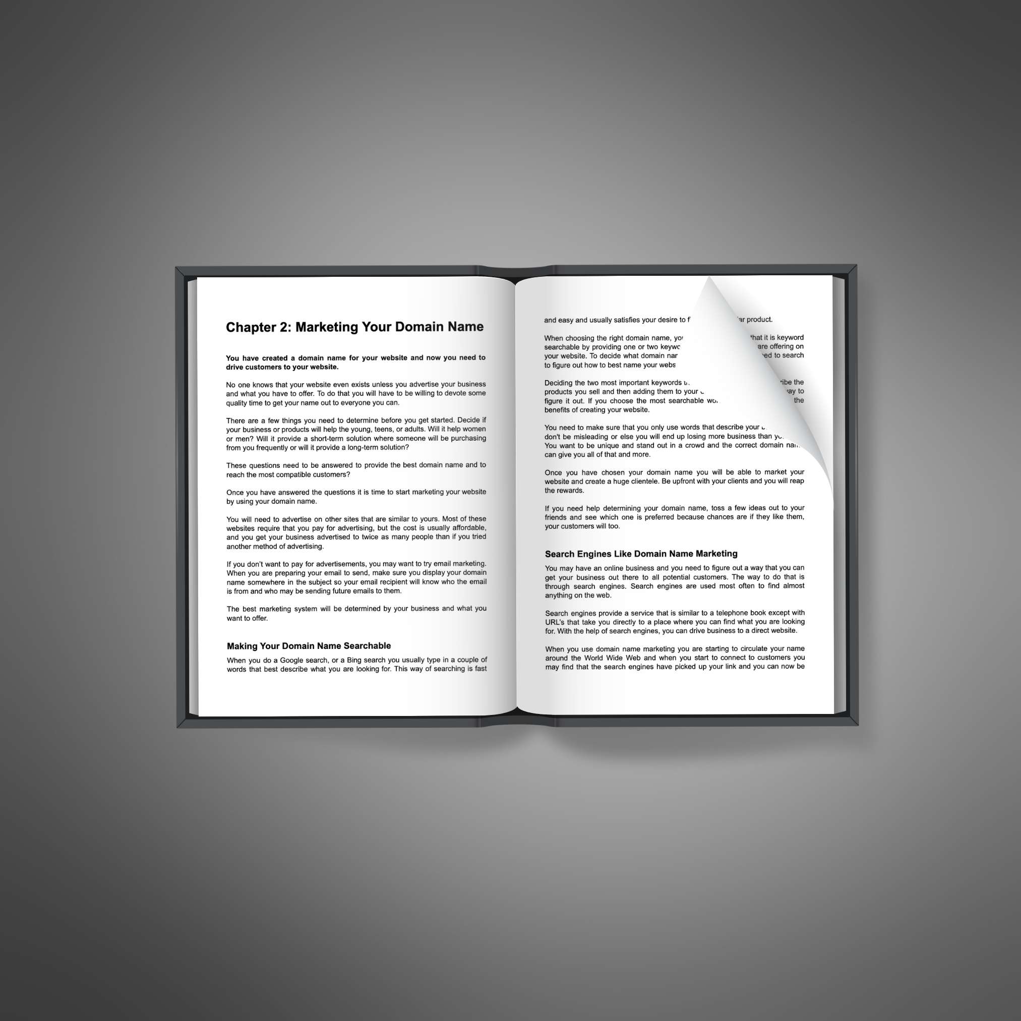 Domain Name Marketing resource preview image 5
