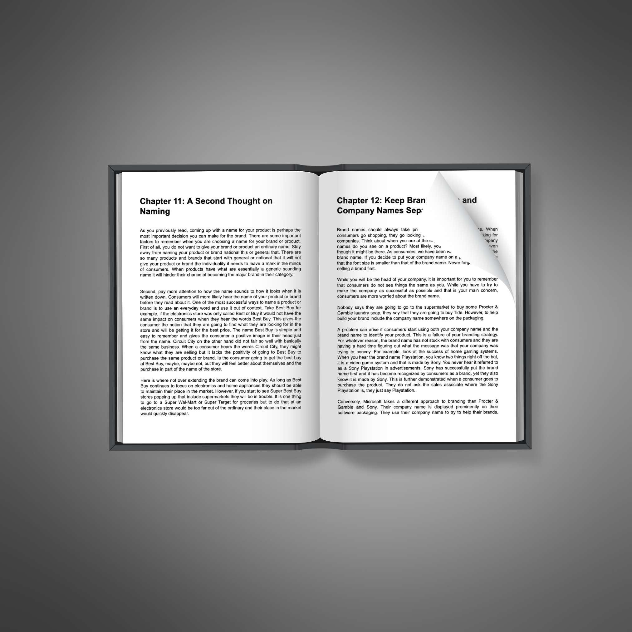 Essential Business Branding resource preview image 3