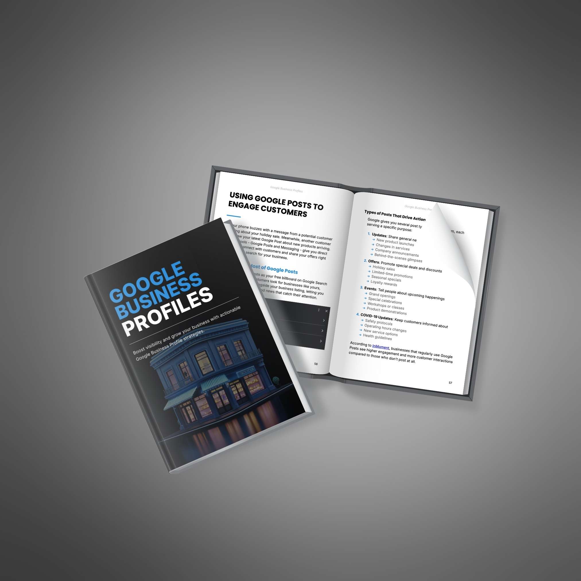 Google Business Profiles resource preview image 4
