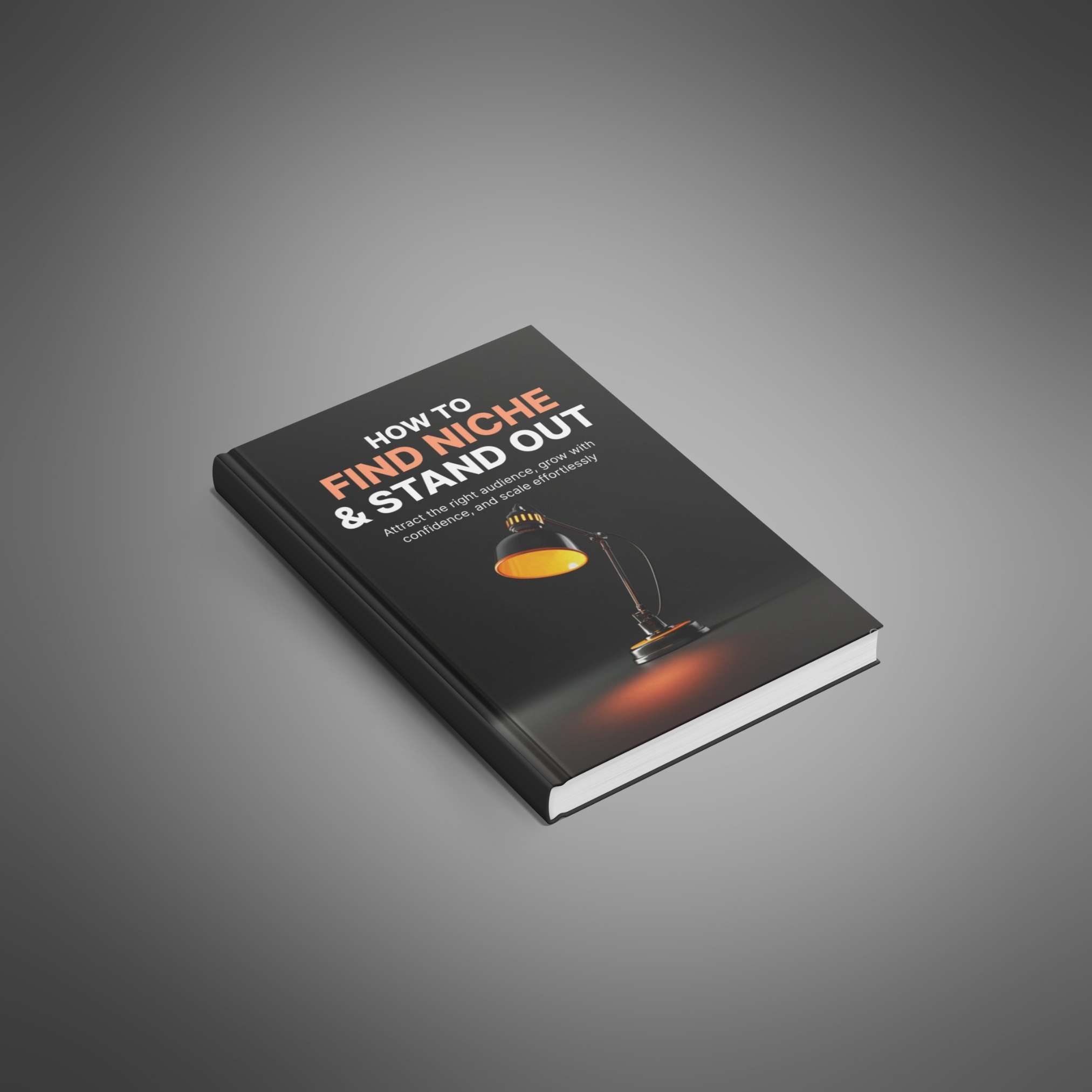 How to Find Niche and Stand Out resource preview image 5