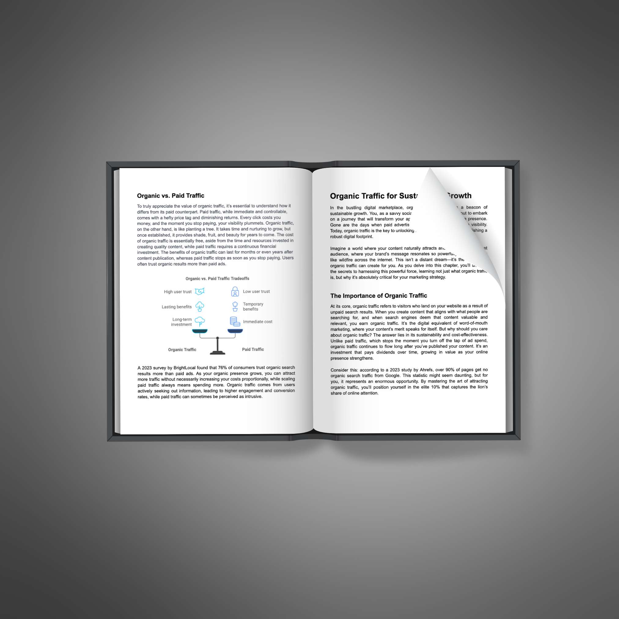 Mastering Organic Traffic resource preview image 5