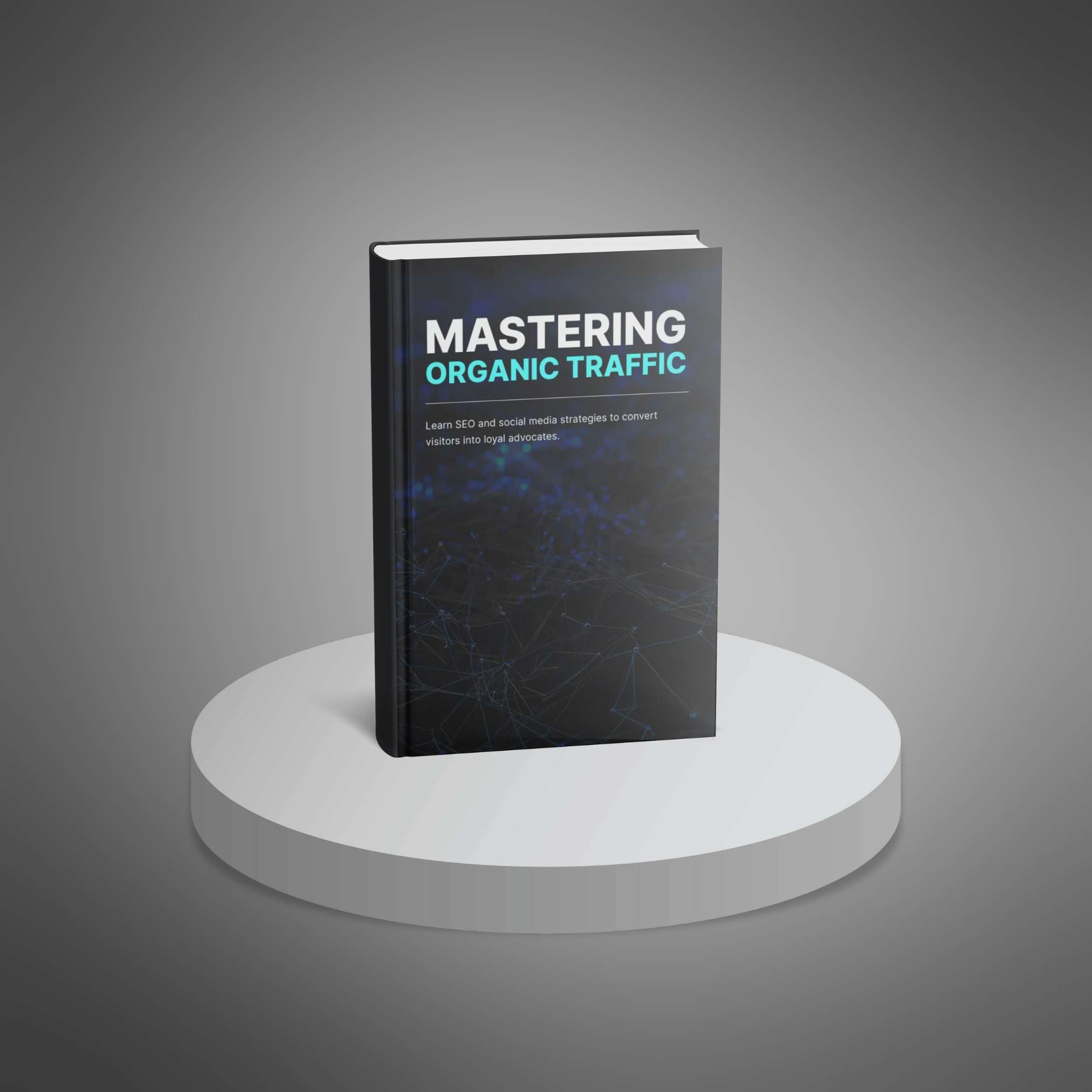Mastering Organic Traffic resource preview image 2