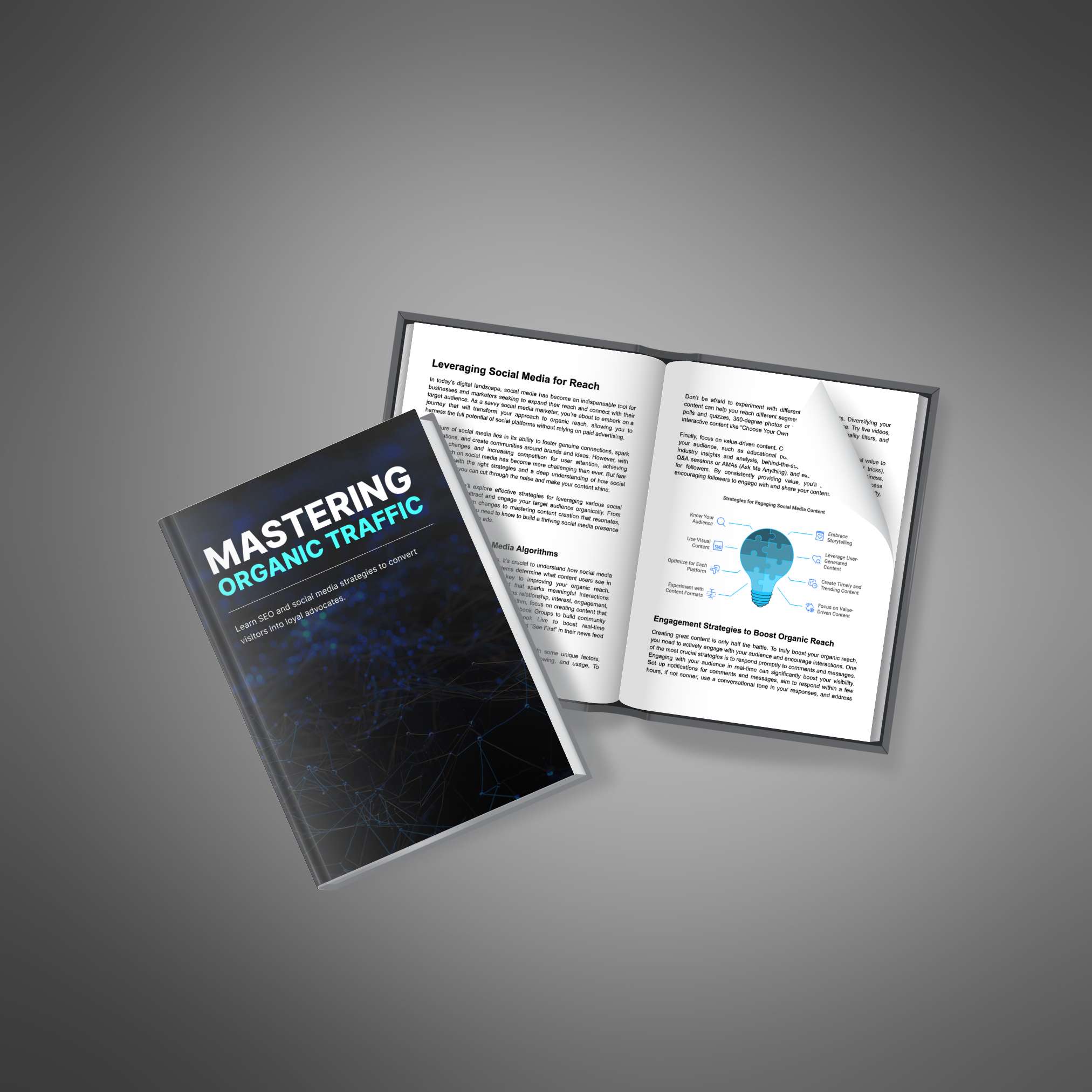 Mastering Organic Traffic resource preview image 3