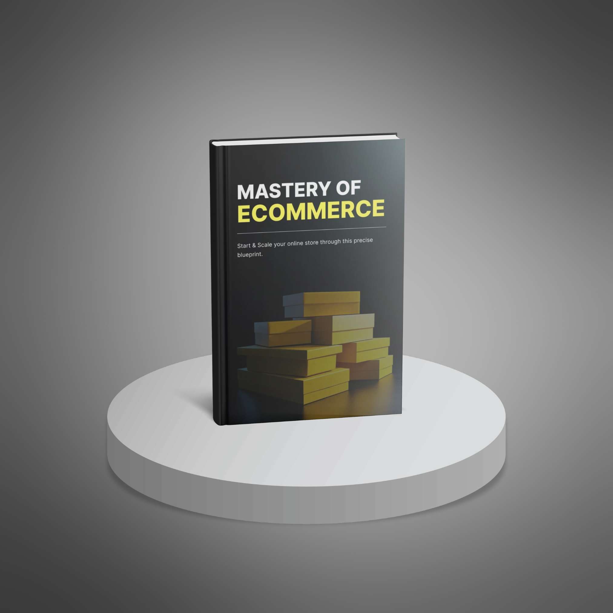 Mastery of Ecommerce resource preview image 2