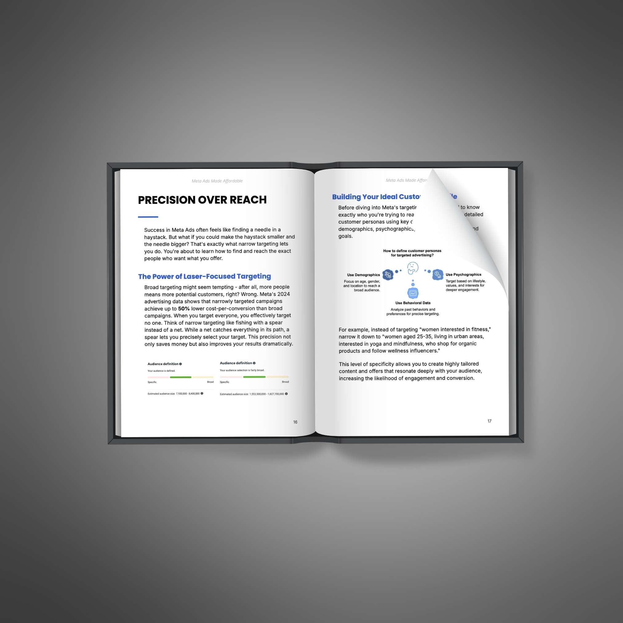Meta Ads Made Affordable resource preview image 3