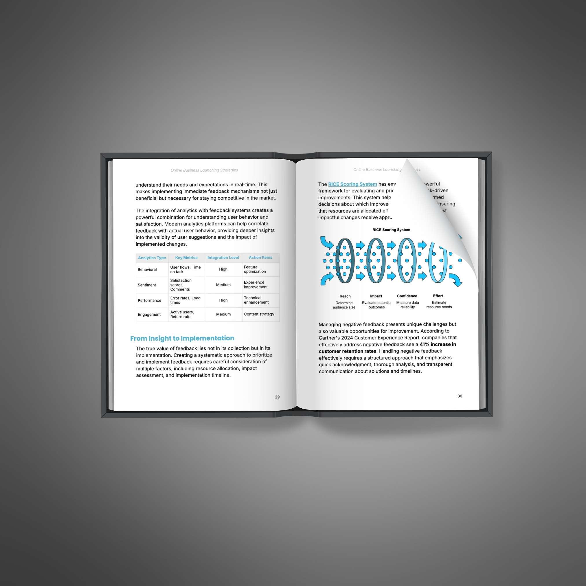 Online Business Launching Strategies resource preview image 3