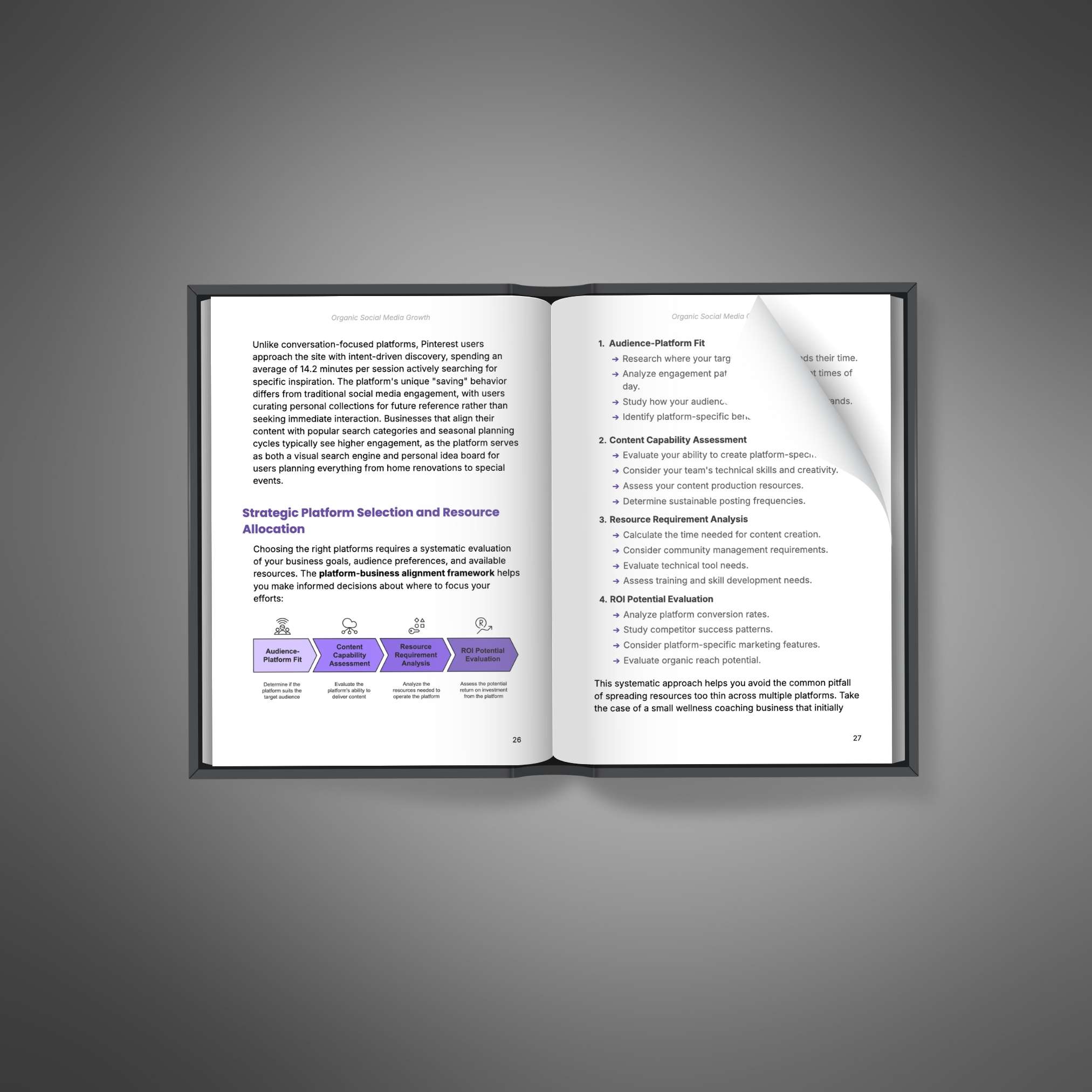 Organic Social Media Growth resource preview image 4