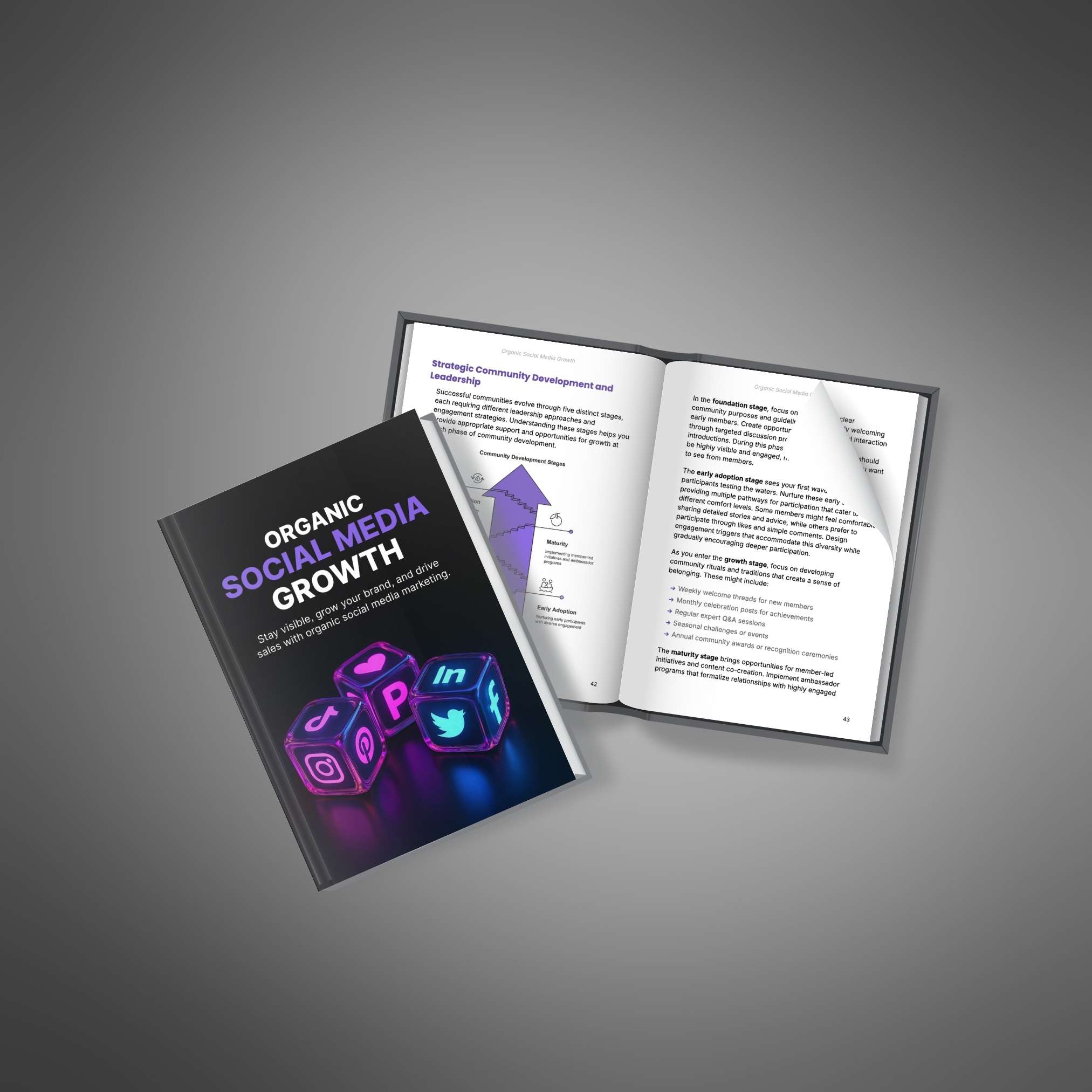 Organic Social Media Growth resource preview image 2