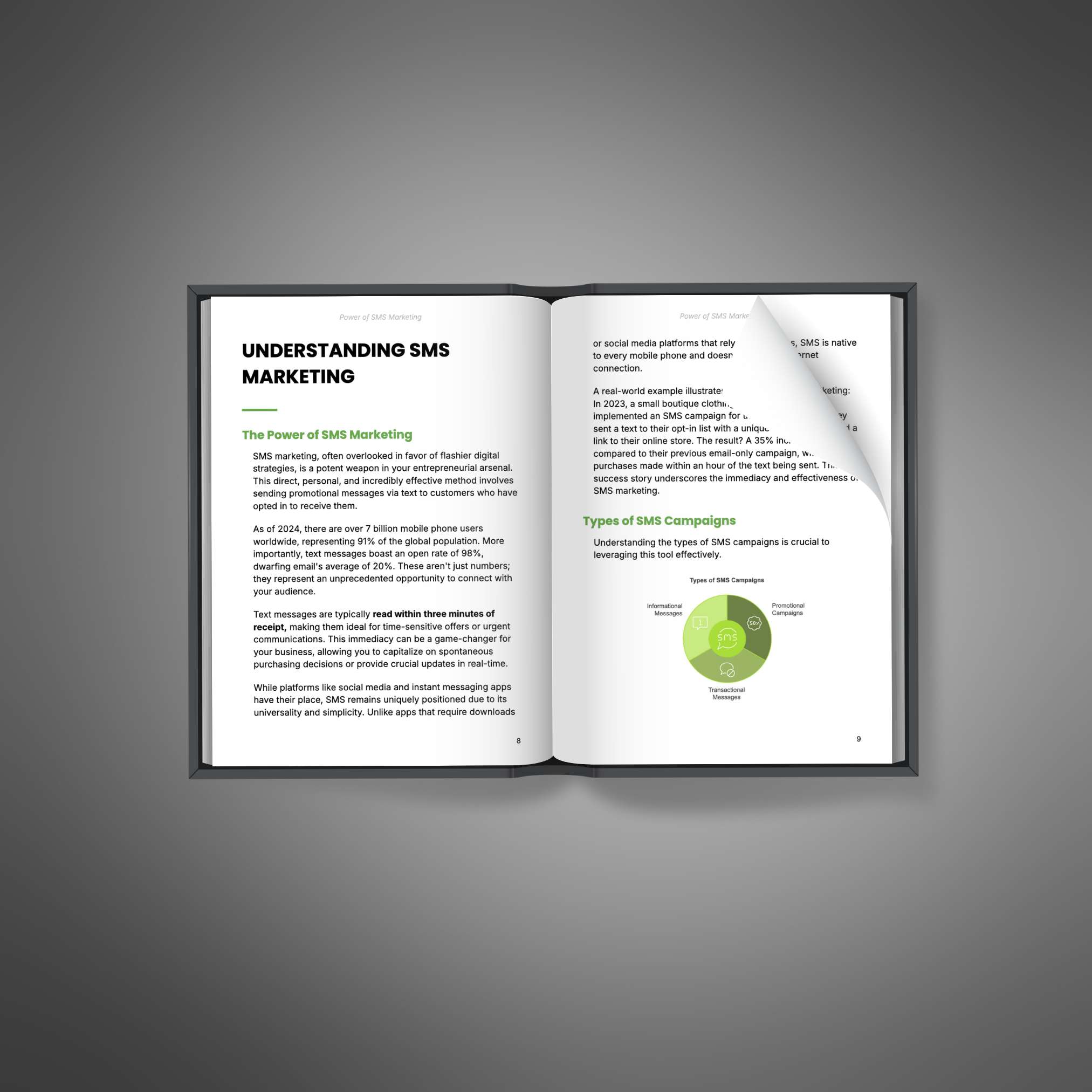 Power of SMS Marketing resource preview image 2