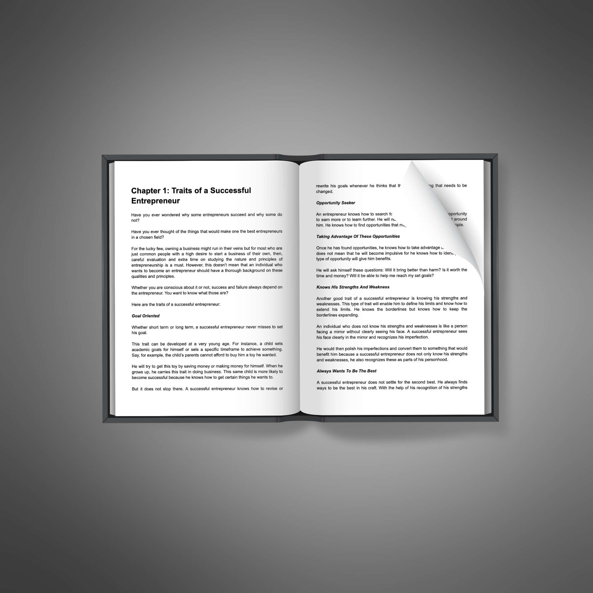 Powerful Entrepreneur resource preview image 5