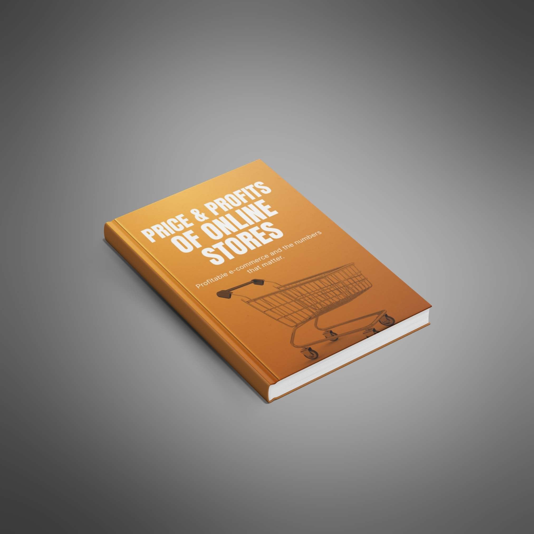 Price and Profits of Online Stores resource preview image 5