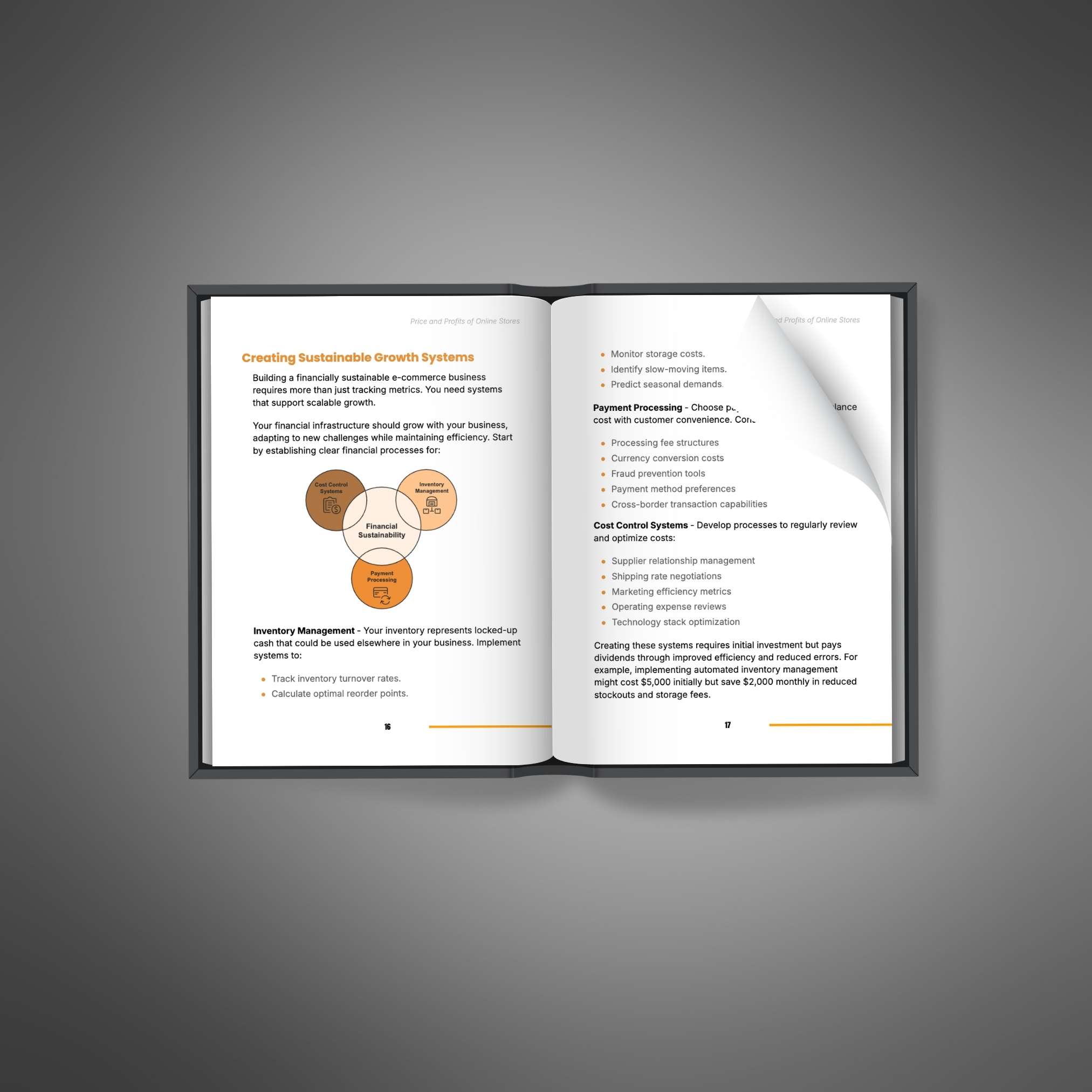 Price and Profits of Online Stores resource preview image 2