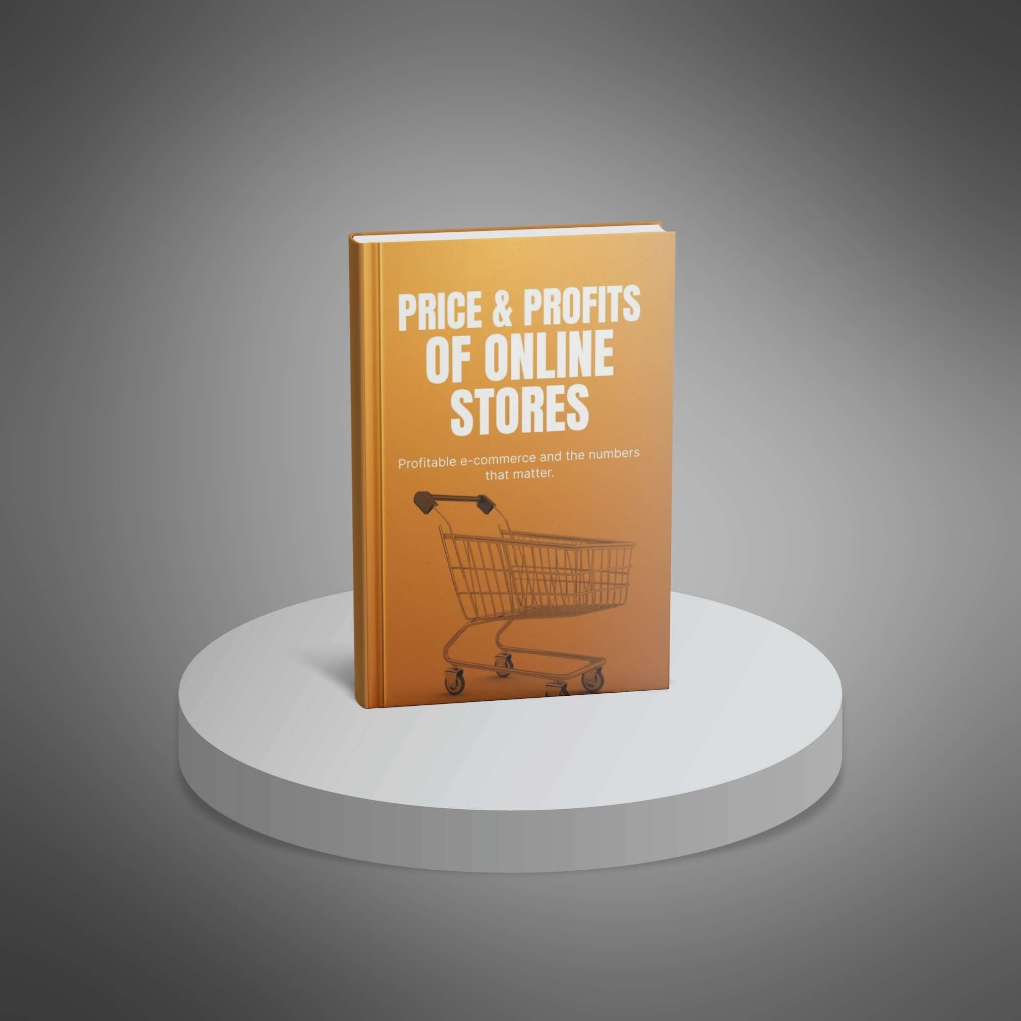 Price and Profits of Online Stores resource preview image 3