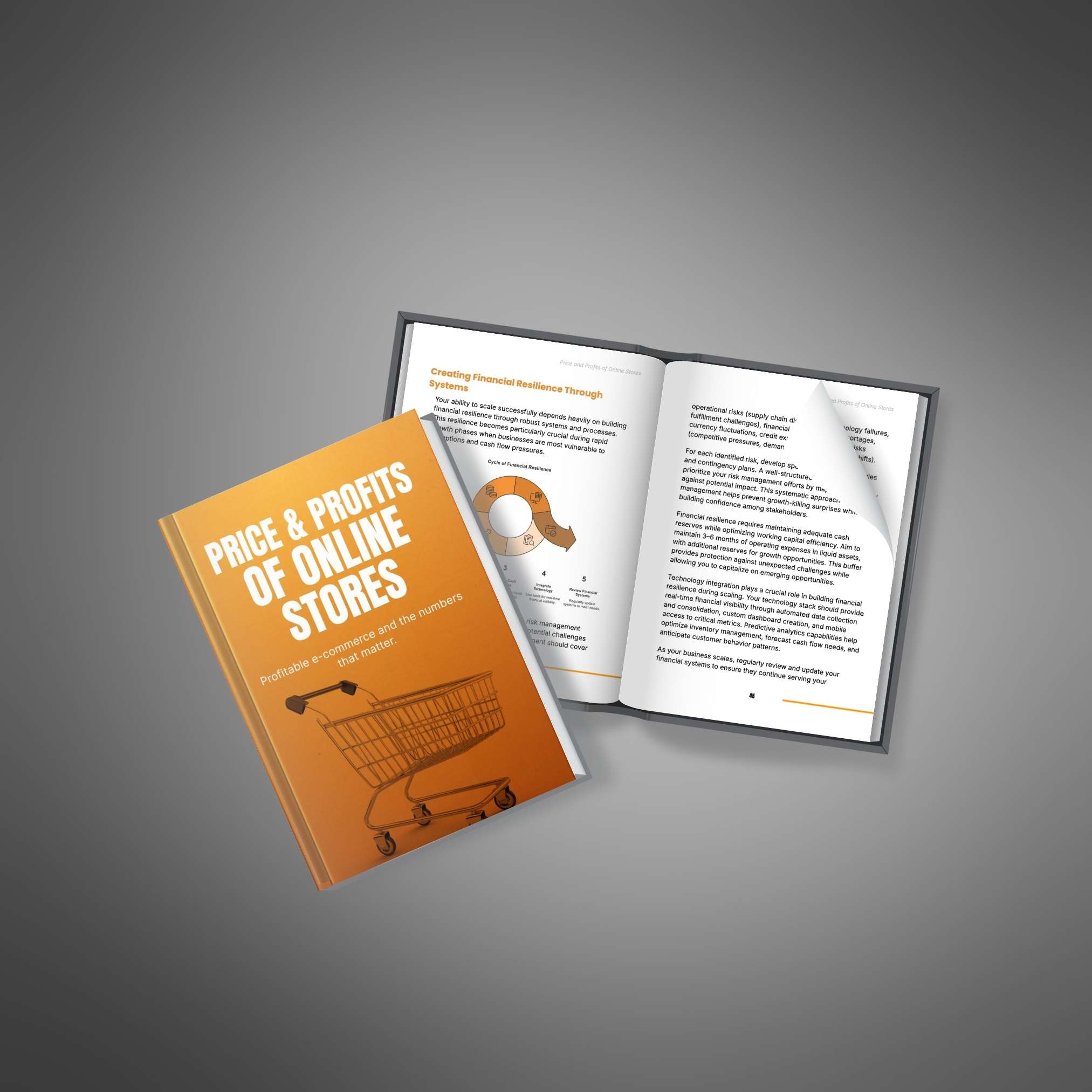 Price and Profits of Online Stores resource preview image 4