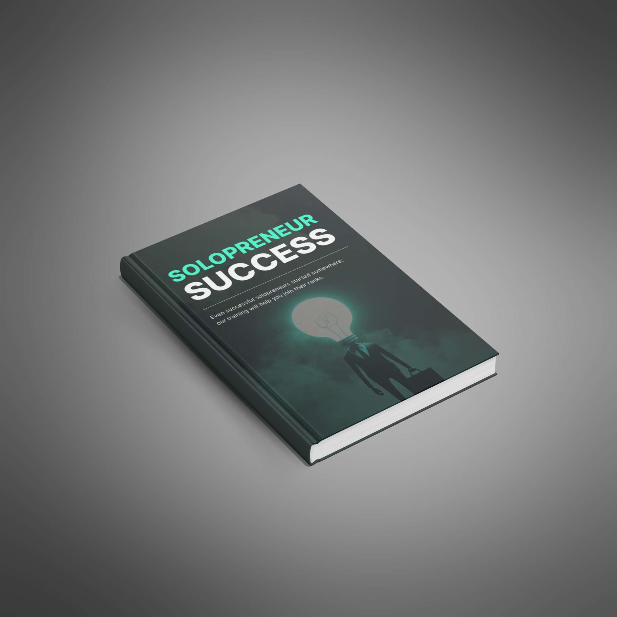 Solopreneur Success resource preview image 4