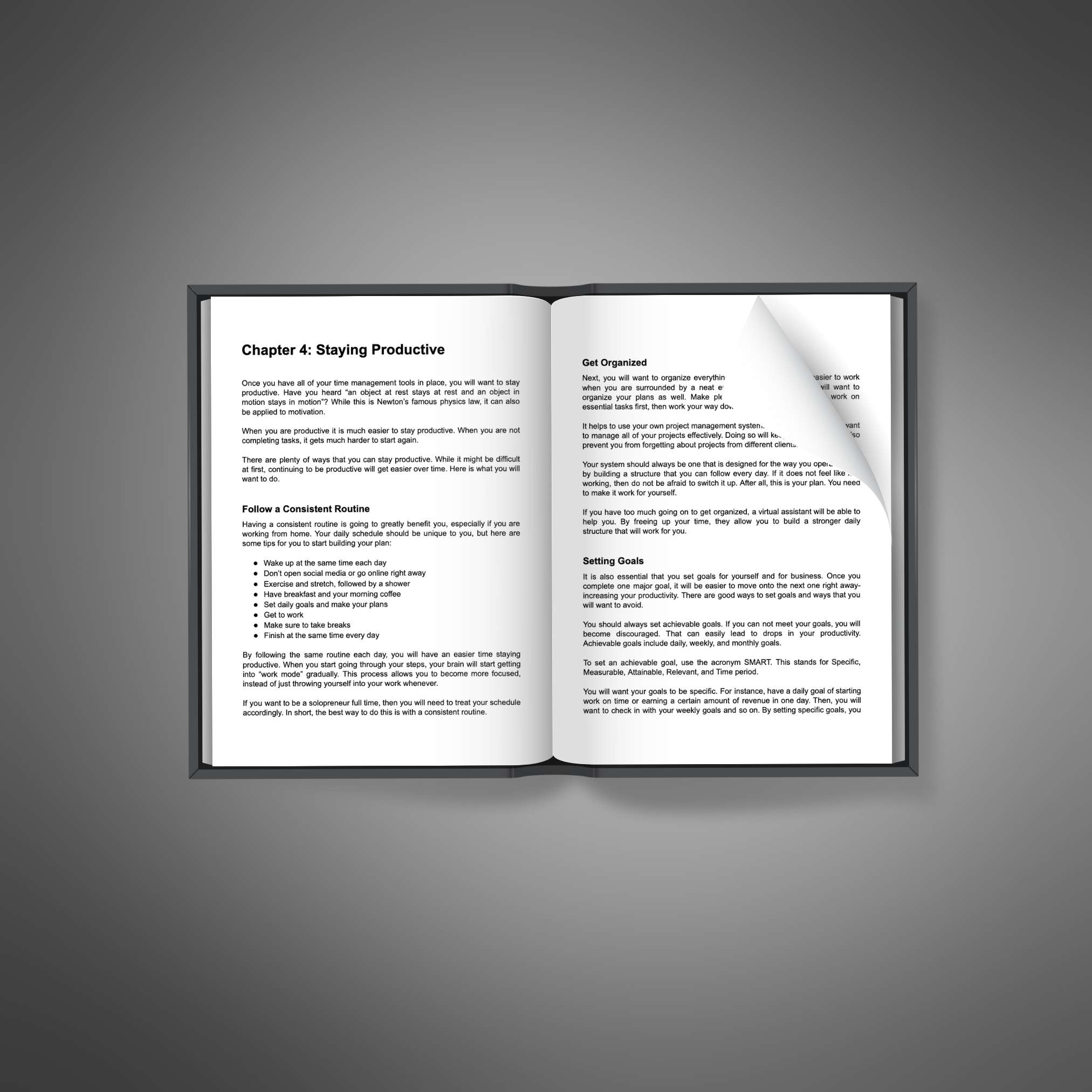 Solopreneur Success resource preview image 5