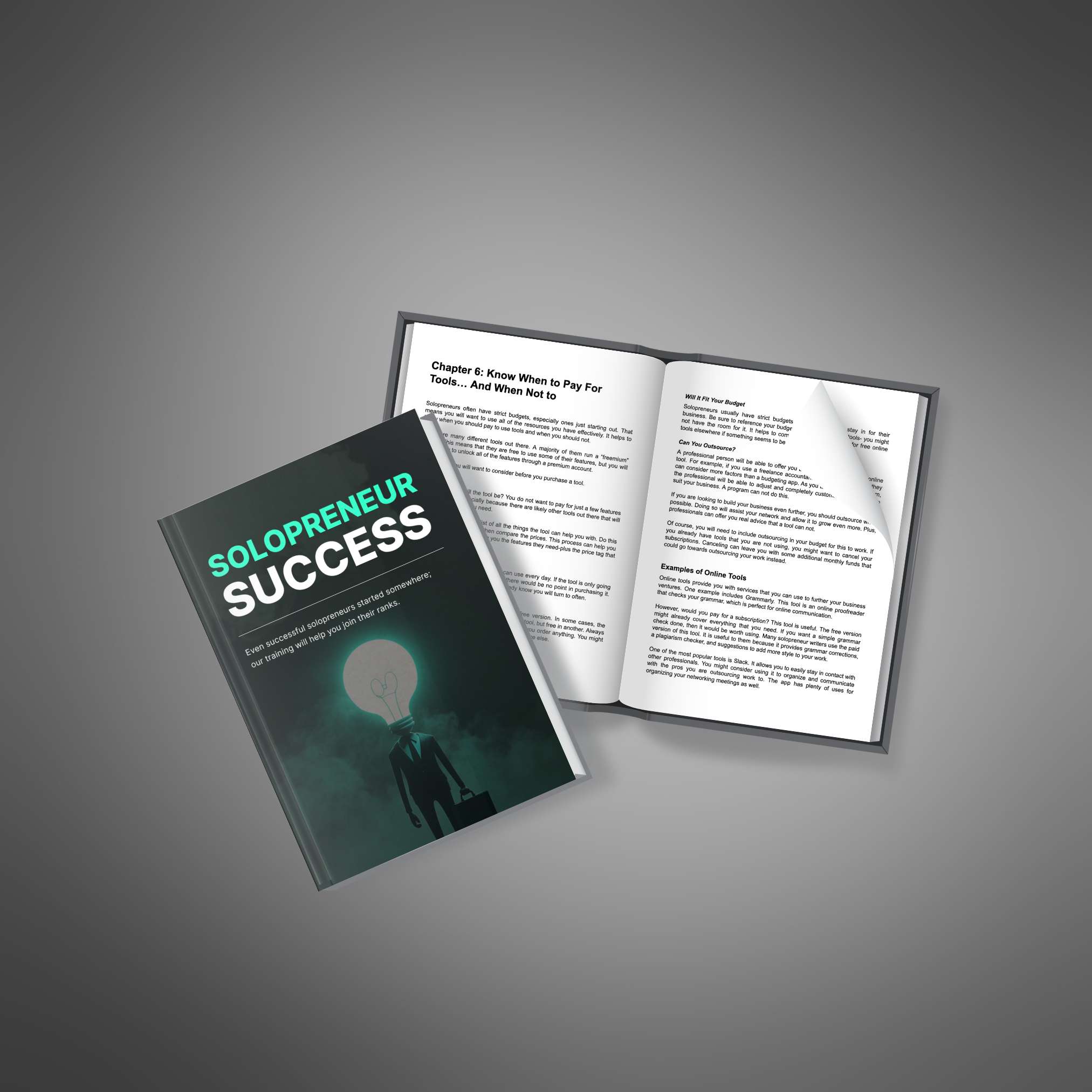 Solopreneur Success resource preview image 3