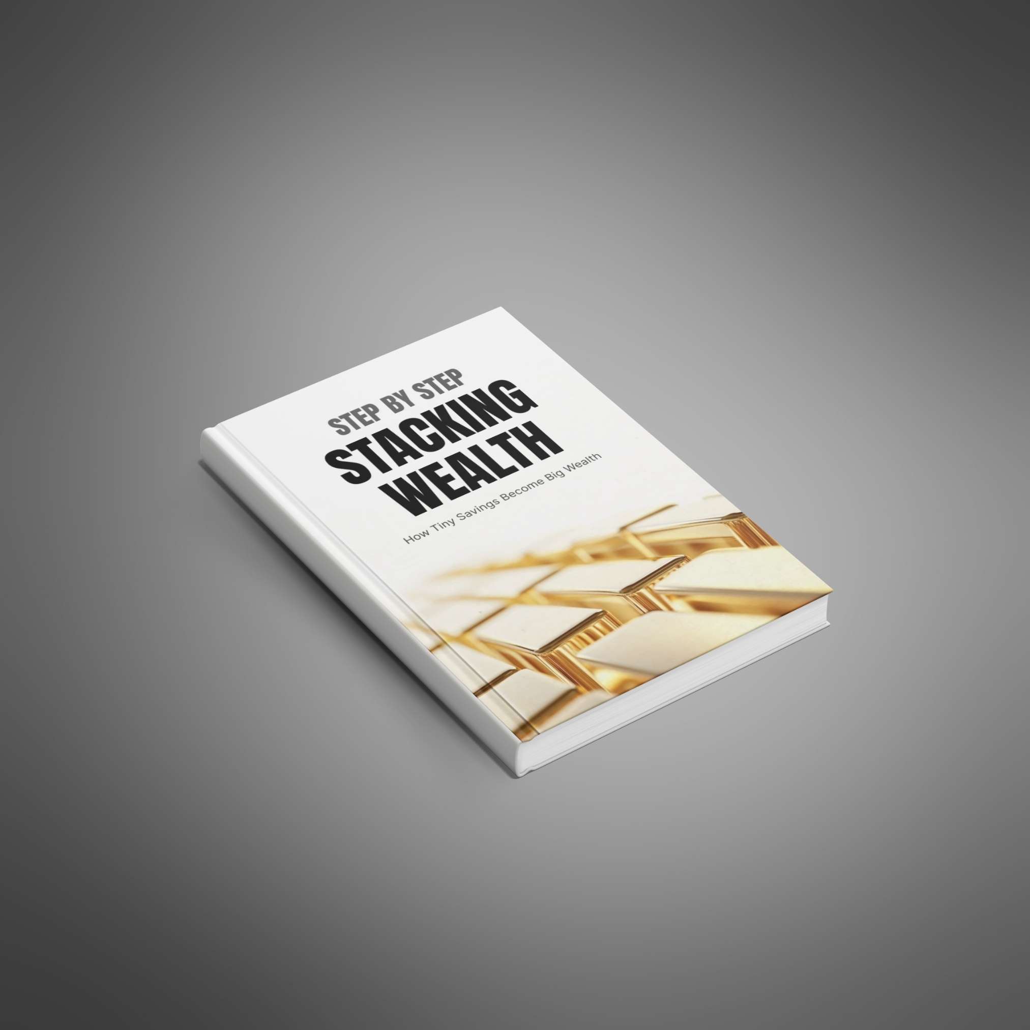 Step by Step Stacking Wealth resource preview image 5