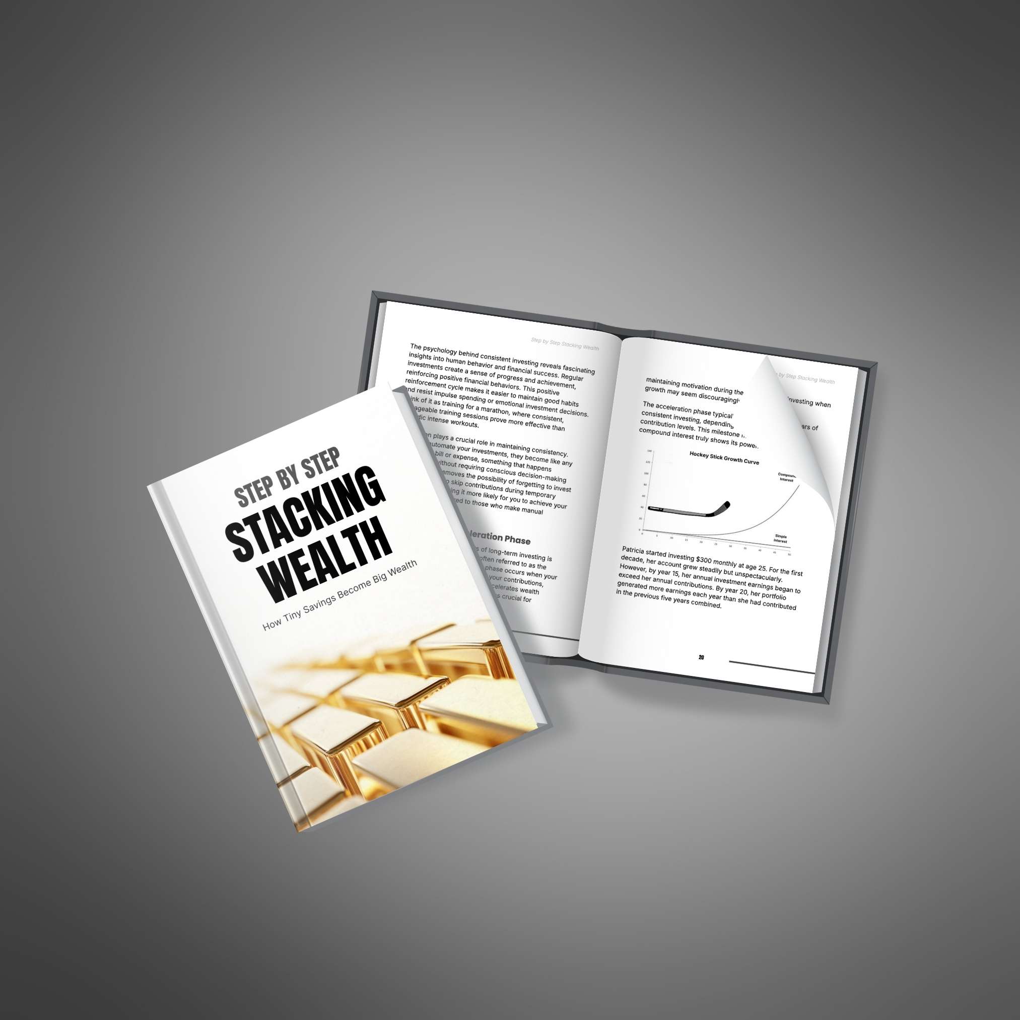 Step by Step Stacking Wealth resource preview image 4