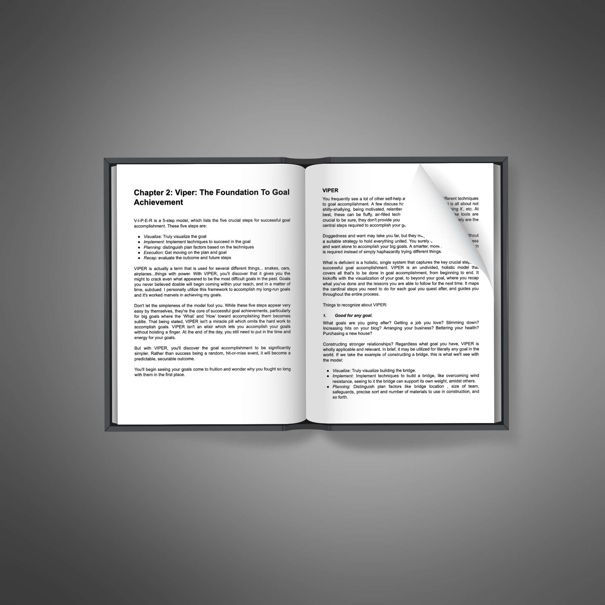 Success & How to Achieve it resource preview image 5