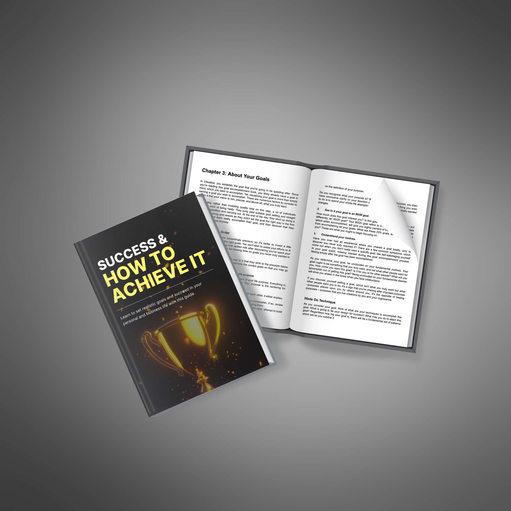 Success & How to Achieve it resource preview image 3