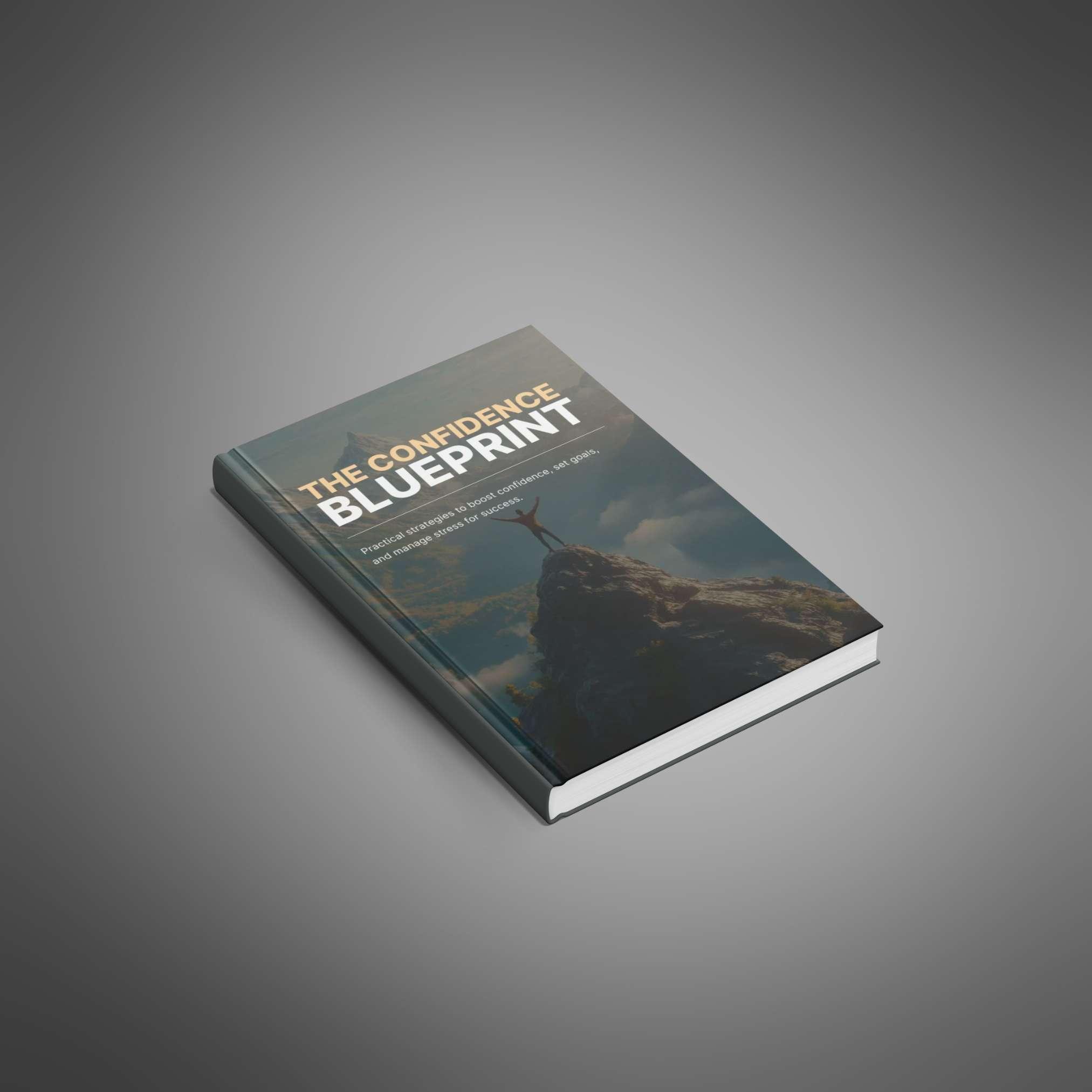 The Confidence Blueprint resource preview image 4