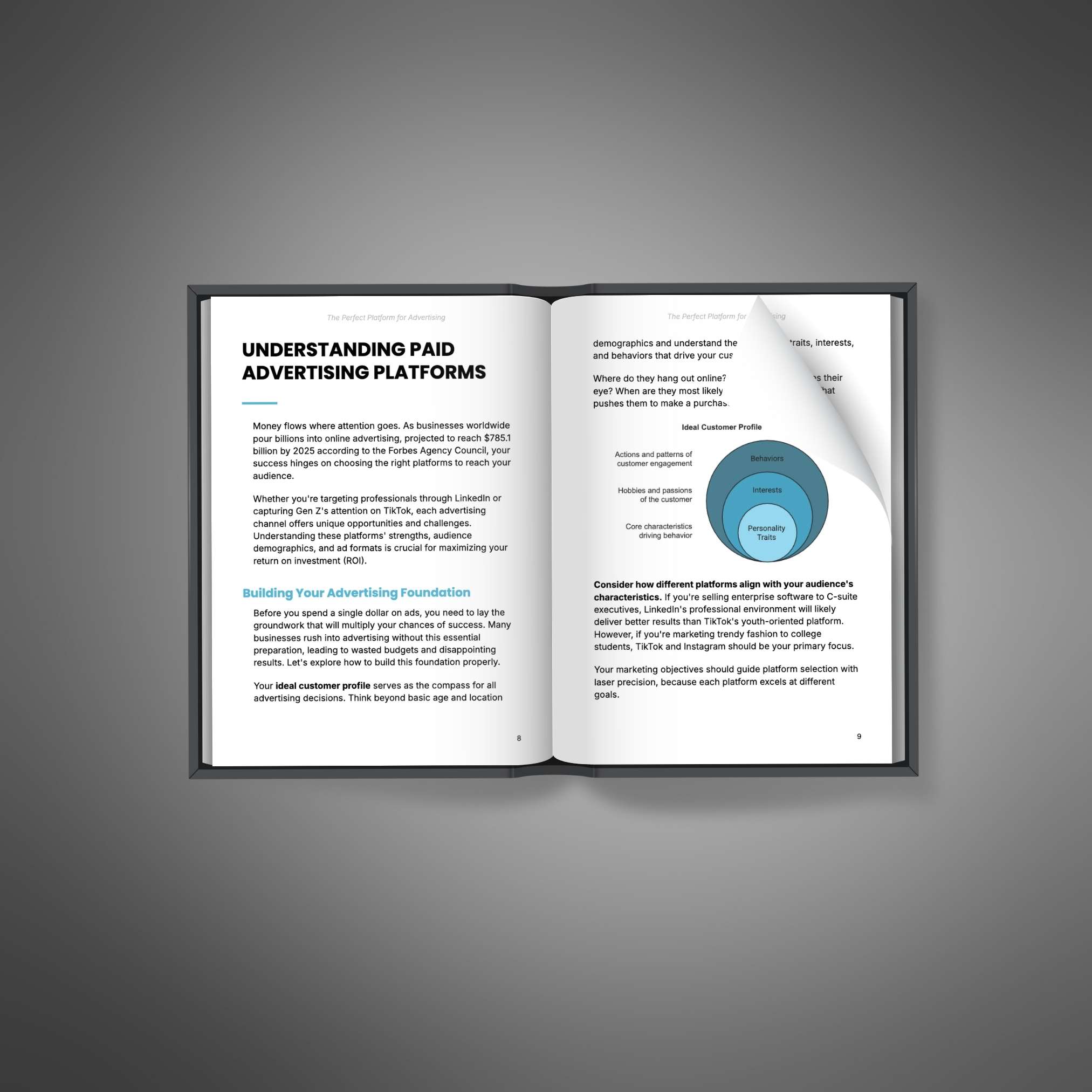 The Perfect Platform for Advertising resource preview image 2