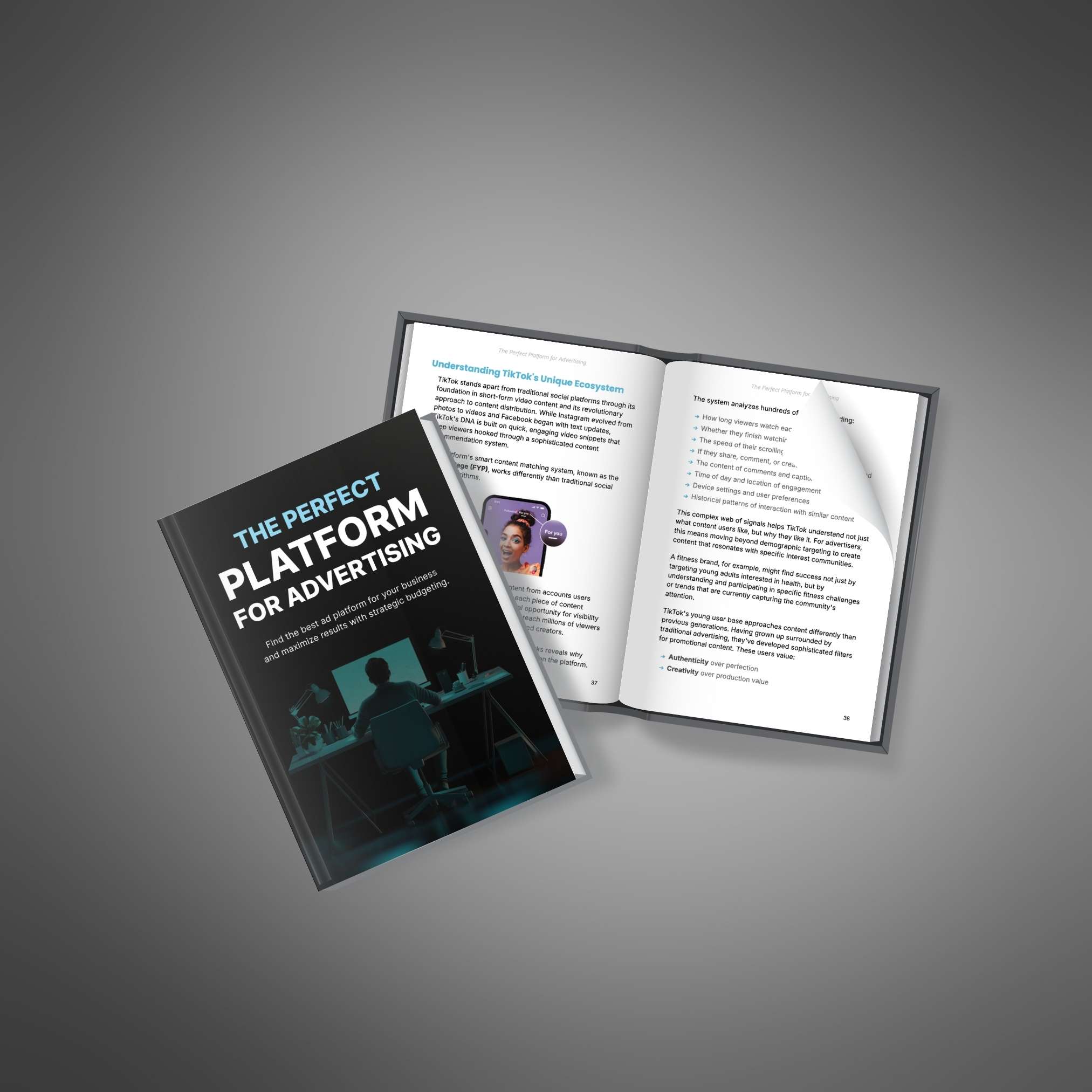 The Perfect Platform for Advertising resource preview image 4