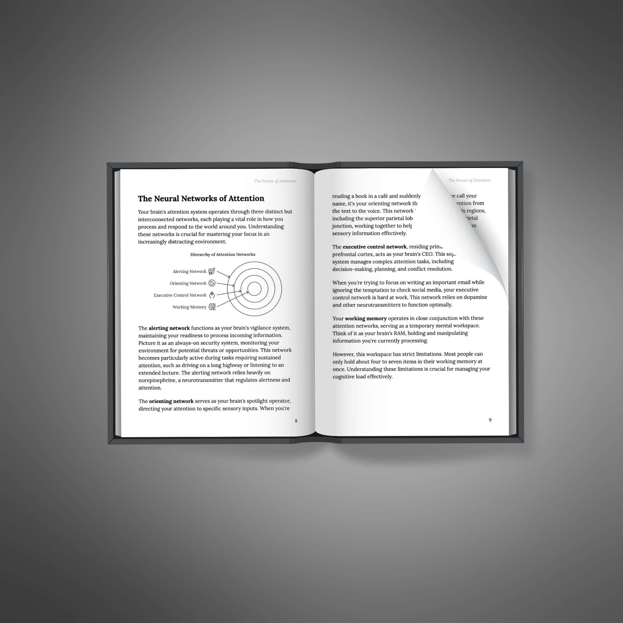 The Power of Attention resource preview image 4