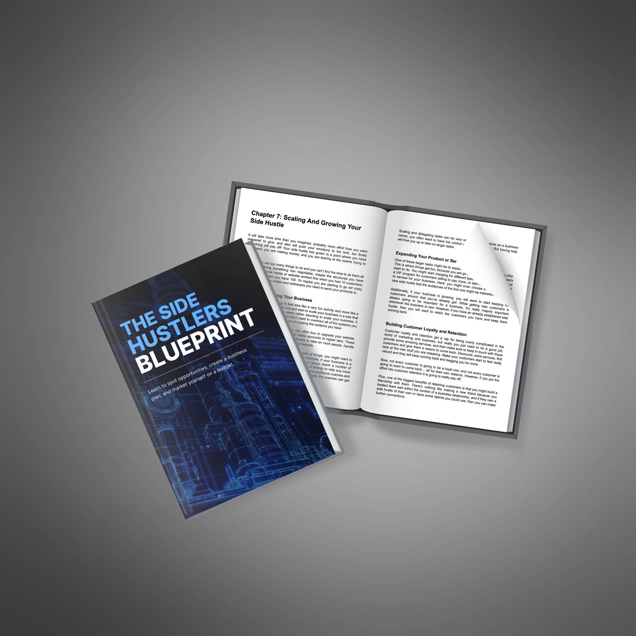 The Side Hustlers Blueprint resource preview image 3
