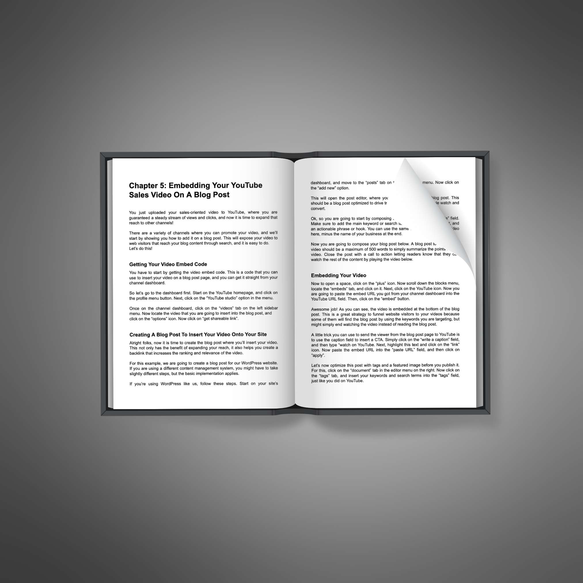 YouTube Business Studio resource preview image 5