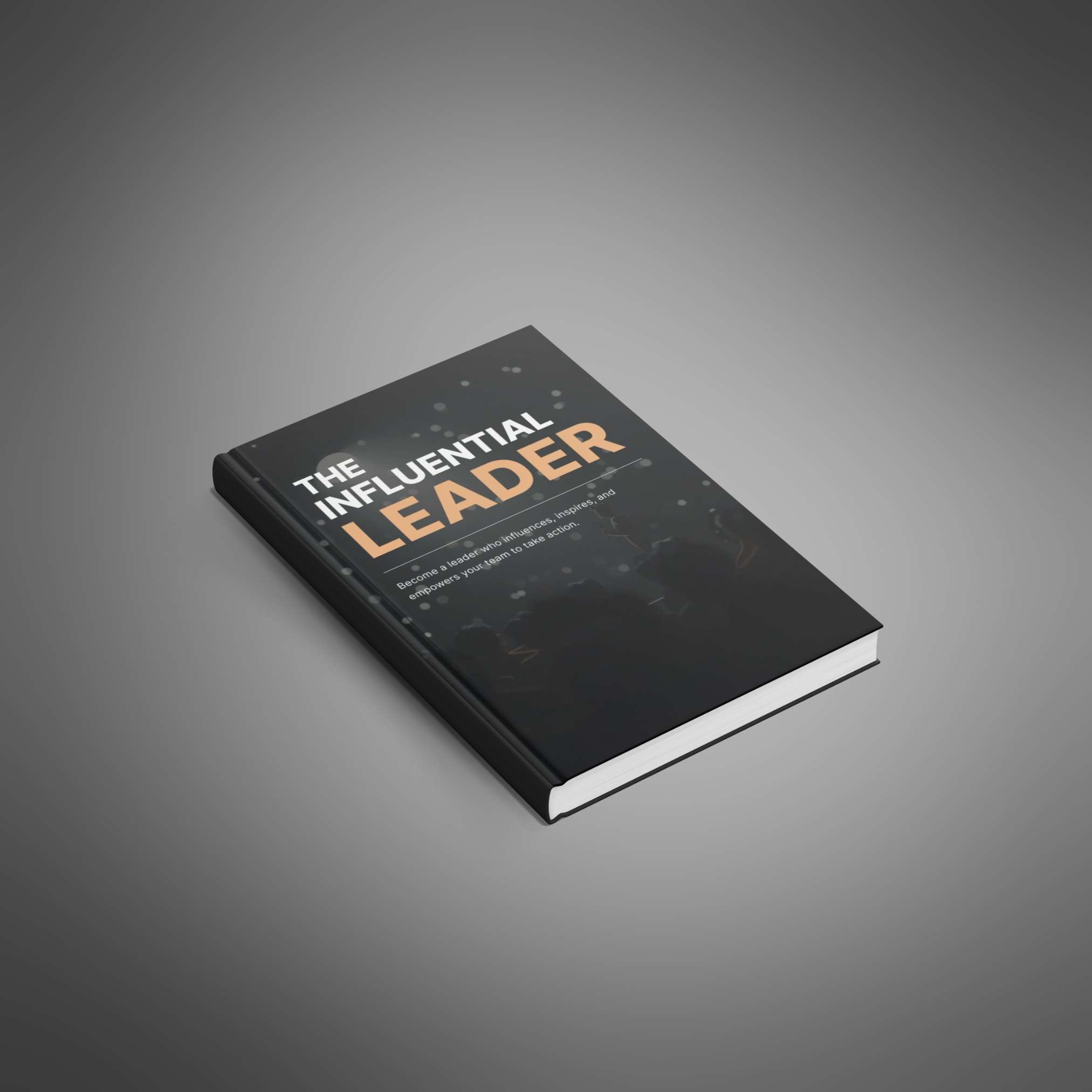 The Influential Leader resource preview image 4