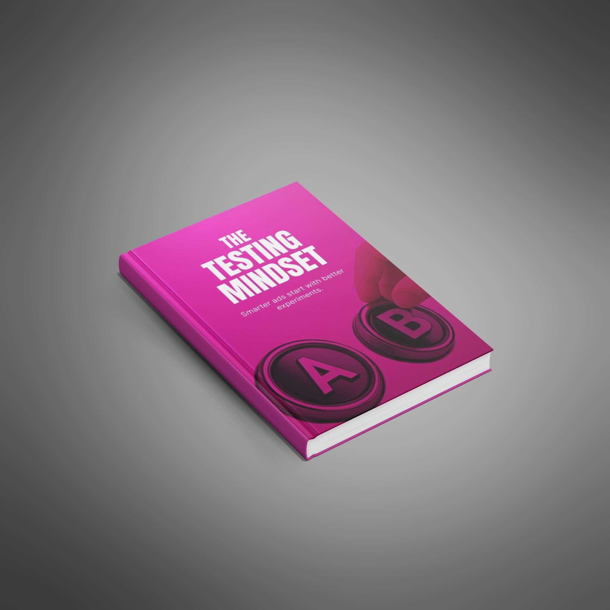 The Testing Mindset resource preview image 4