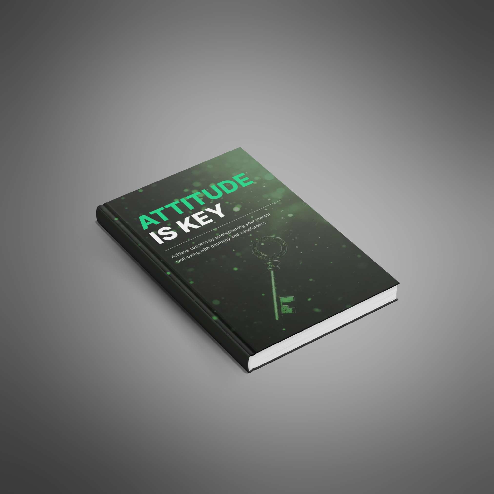 Attitude Is Key resource preview image 4