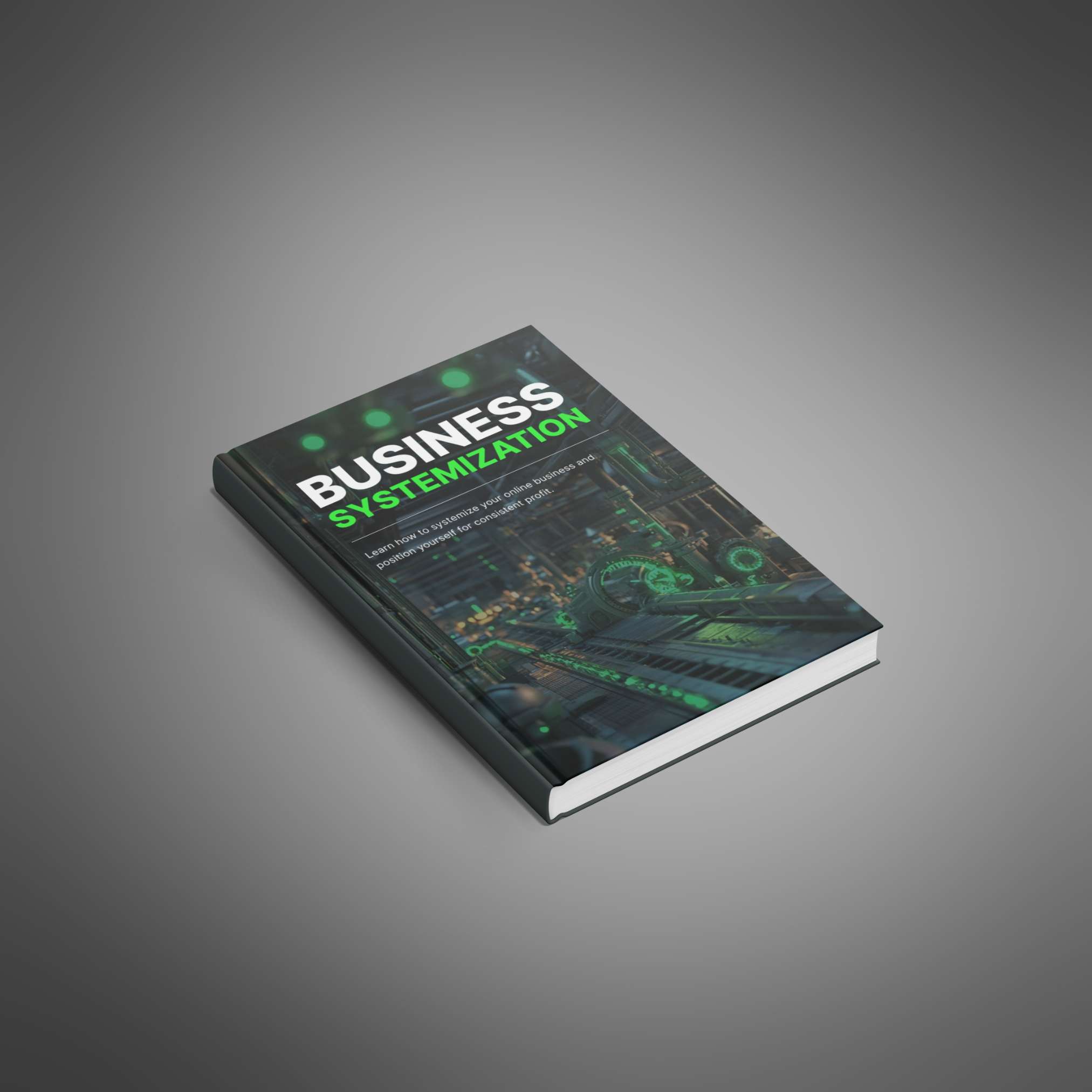 Business Systemization resource preview image 4
