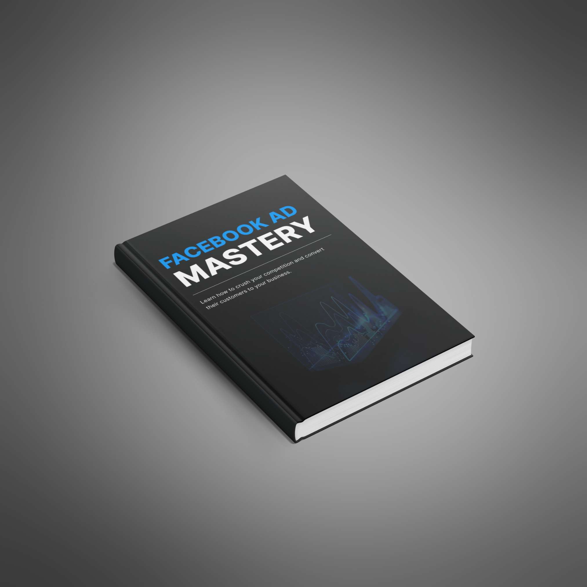 Facebook Ad Mastery resource preview image 4