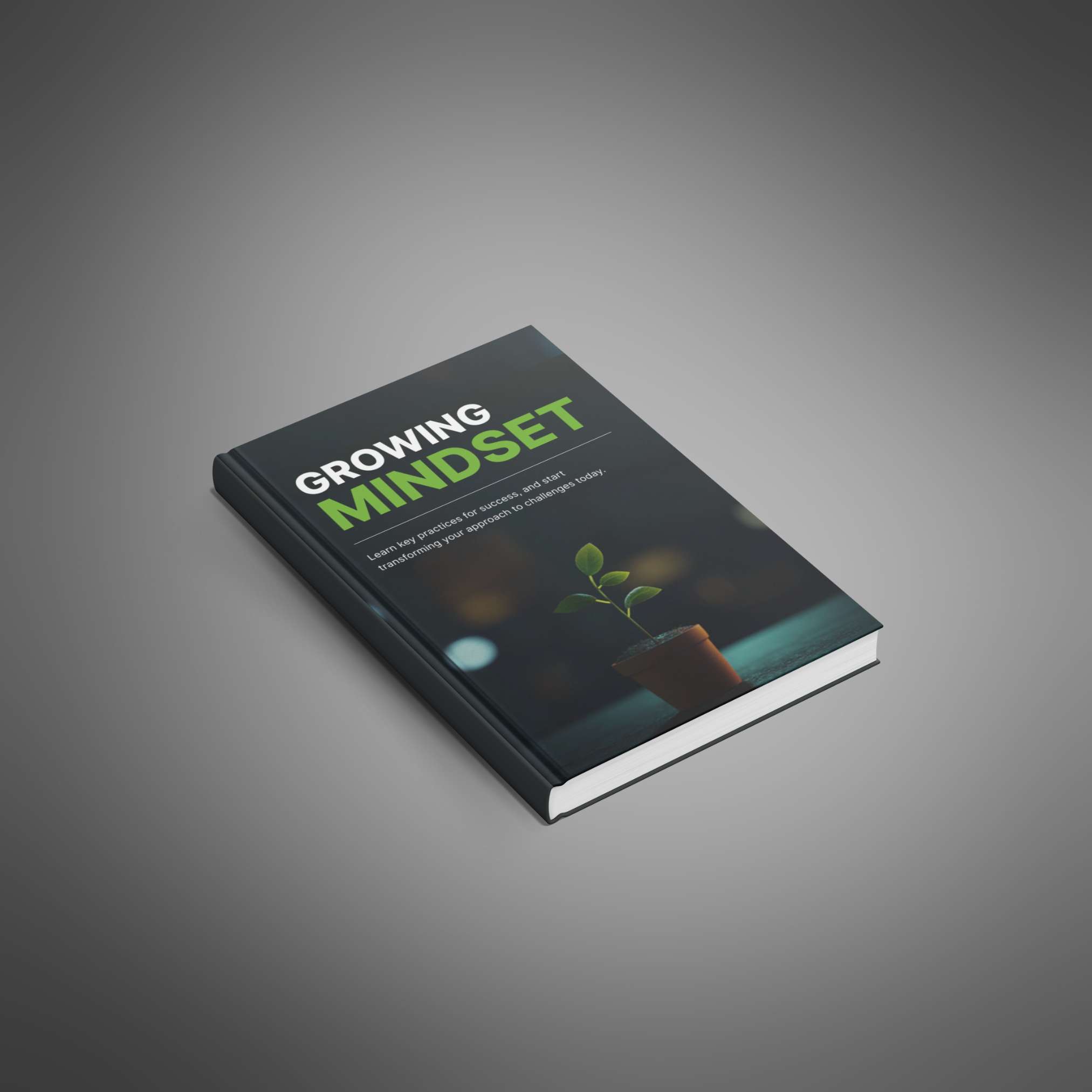 Growing Mindset resource preview image 4