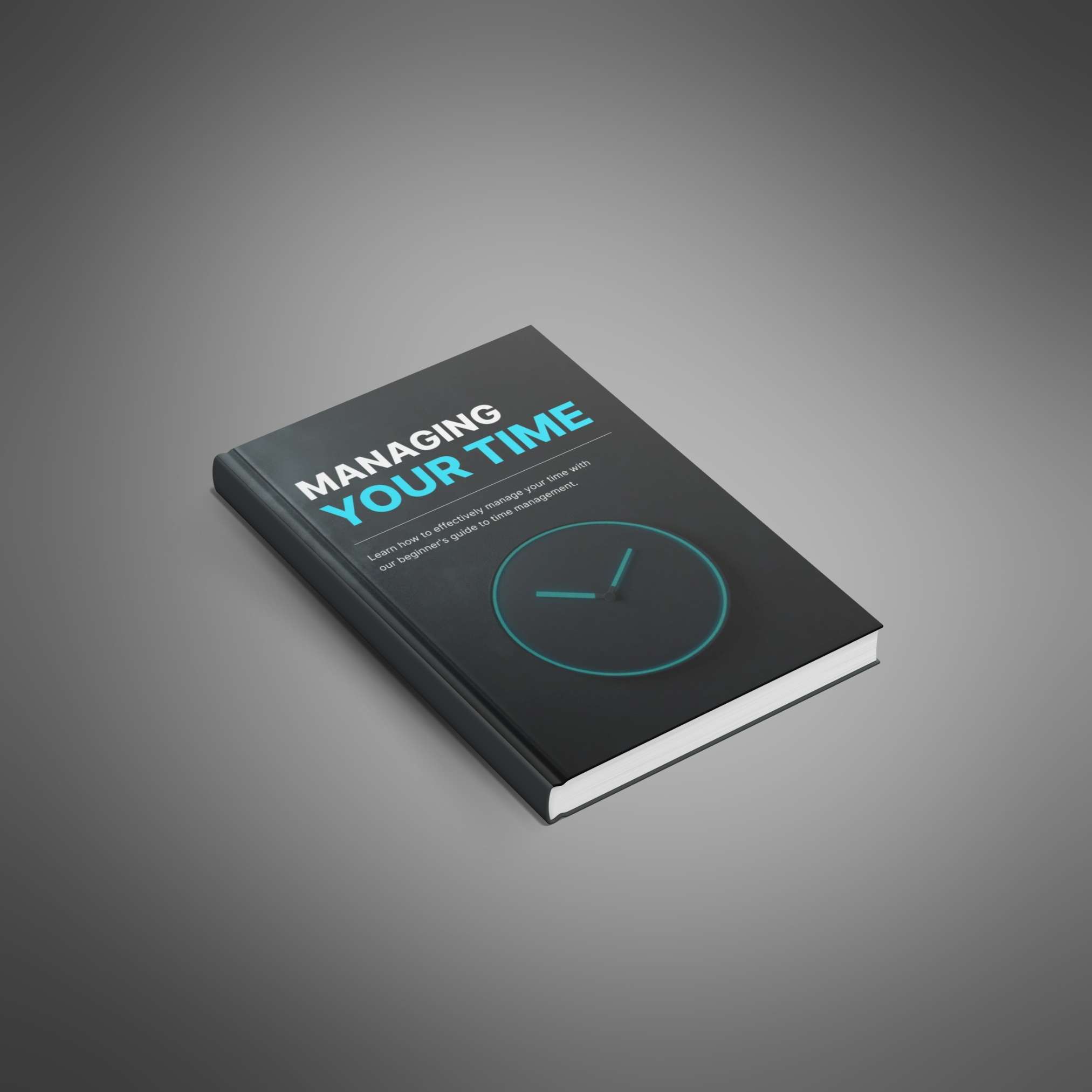 Managing Your Time resource preview image 4