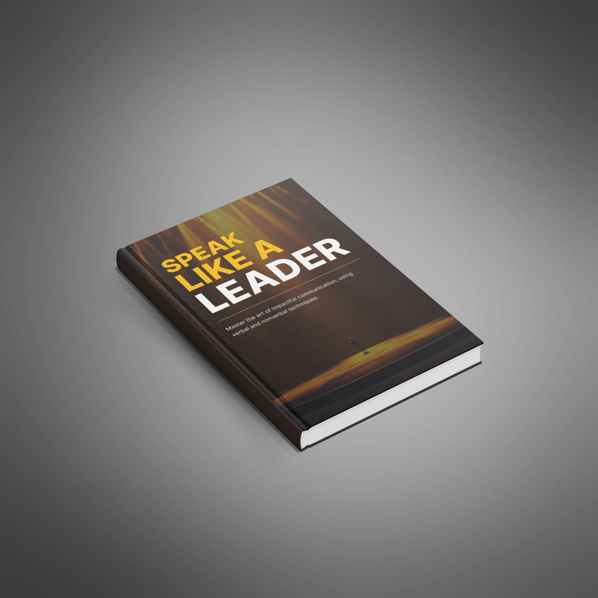 Speak Like a Leader resource preview image 4