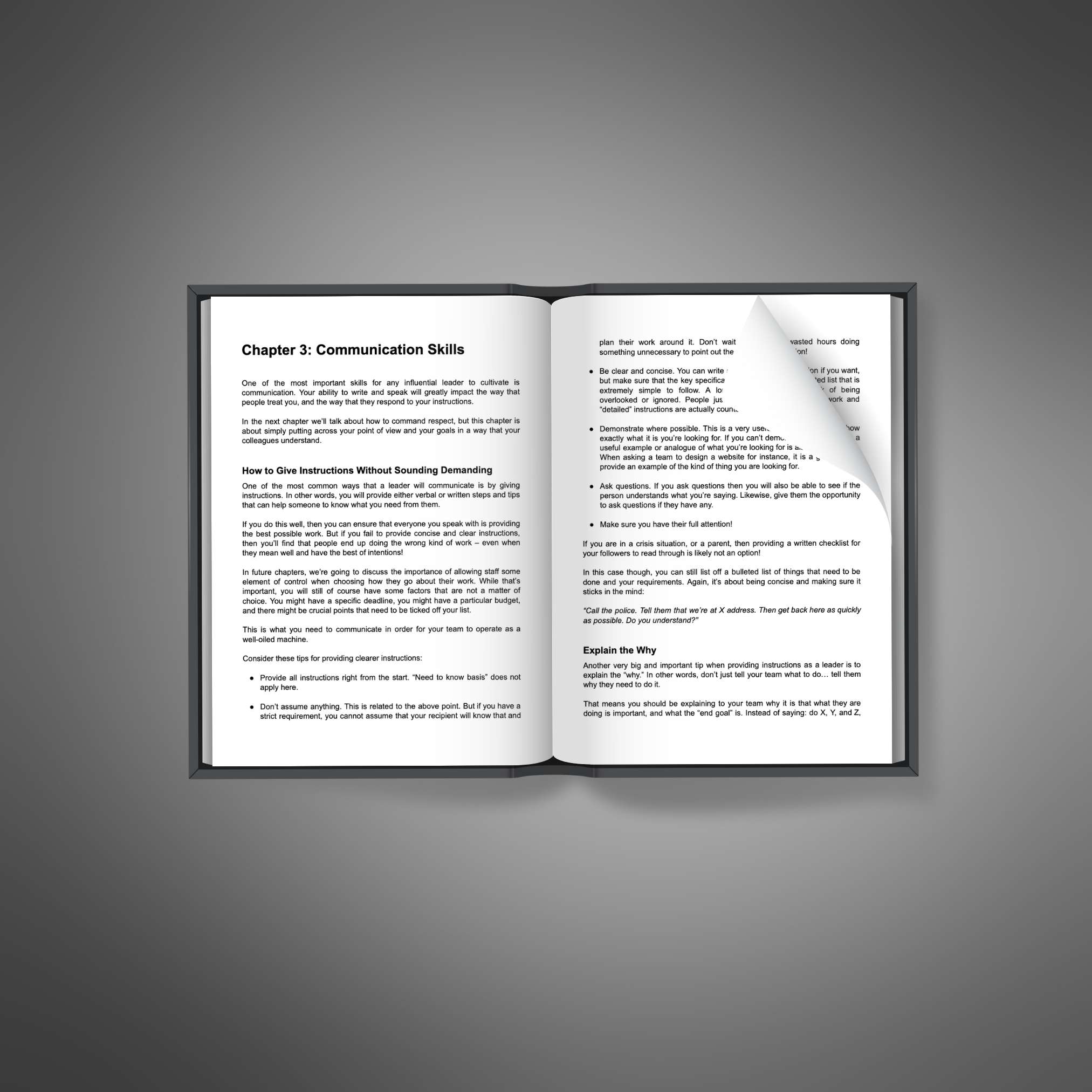 The Influential Leader resource preview image 5