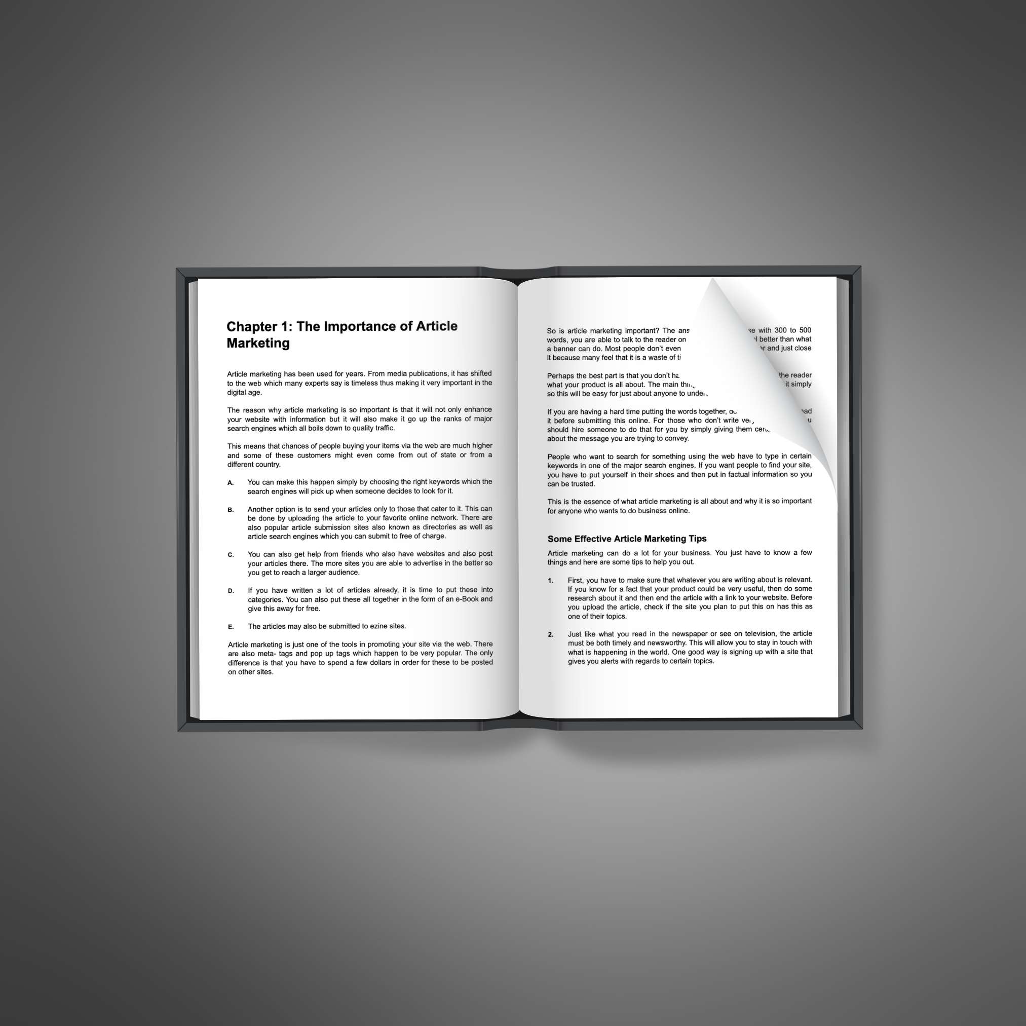 Article Marketing Ascendancy resource preview image 5