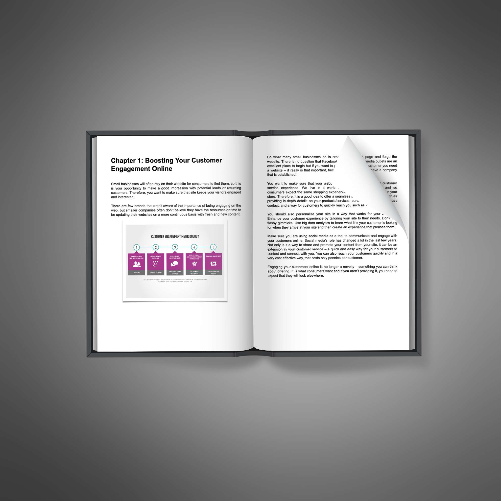 Viral Customer Engagement resource preview image 5