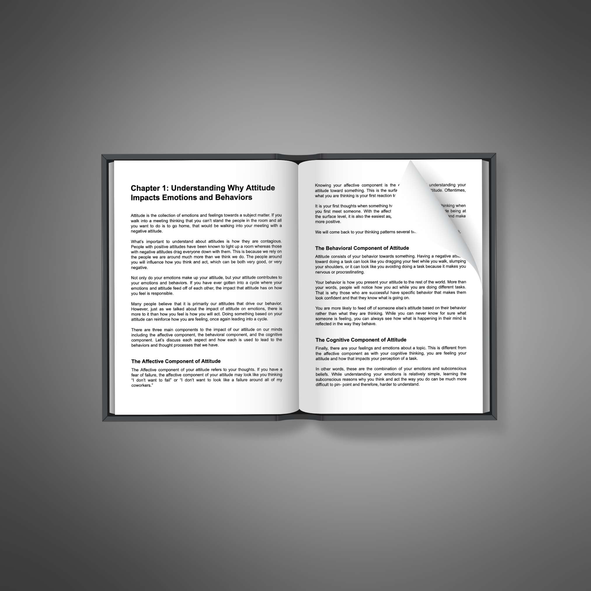Attitude Is Key resource preview image 5