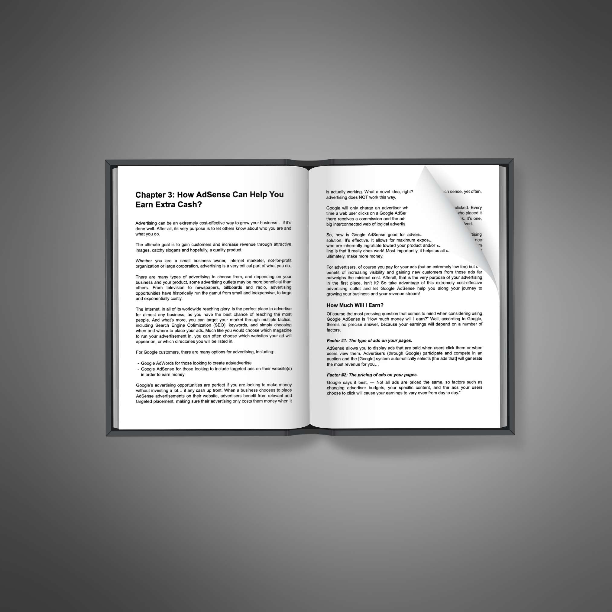 AdSense Mastery resource preview image 5