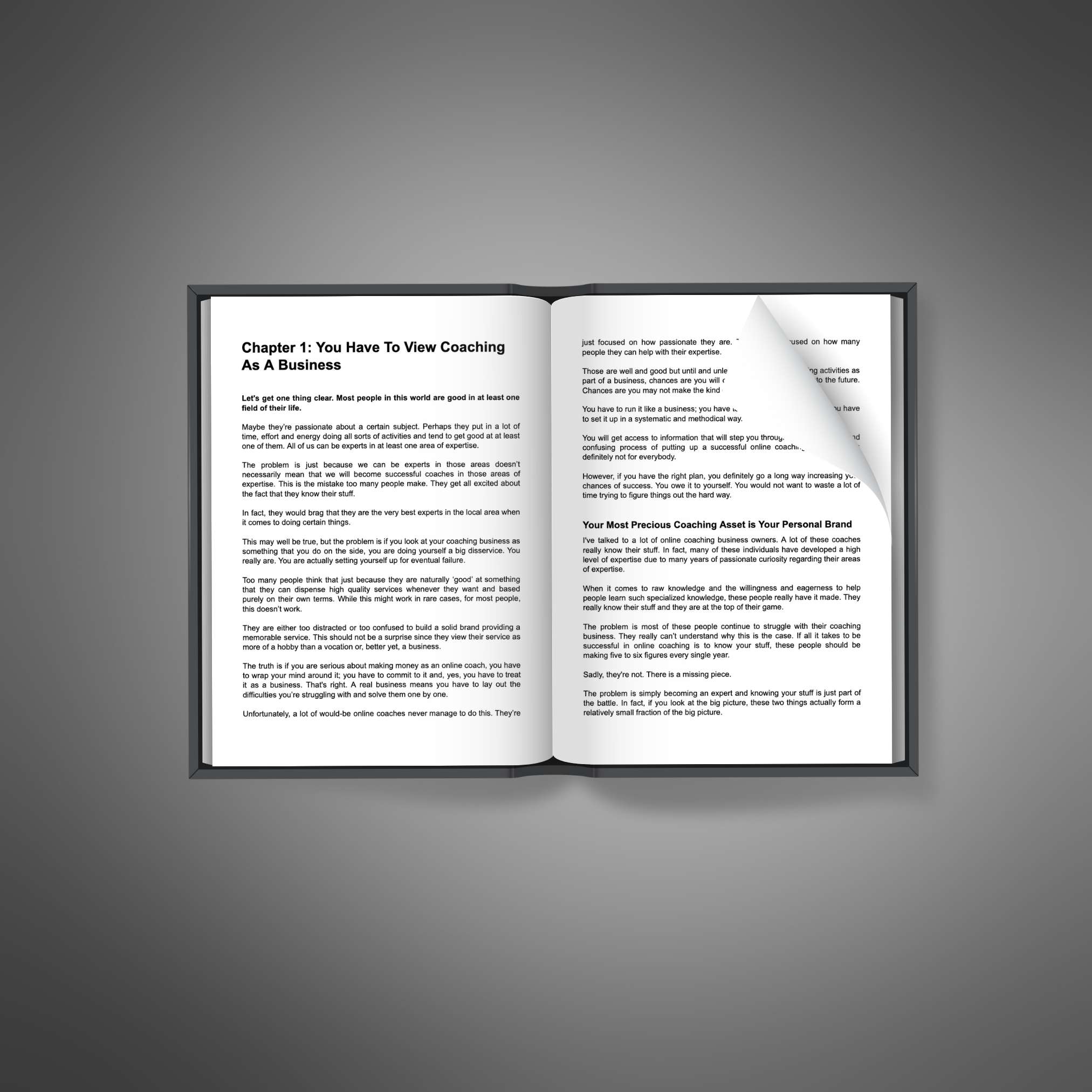 Coaching Business Success resource preview image 5