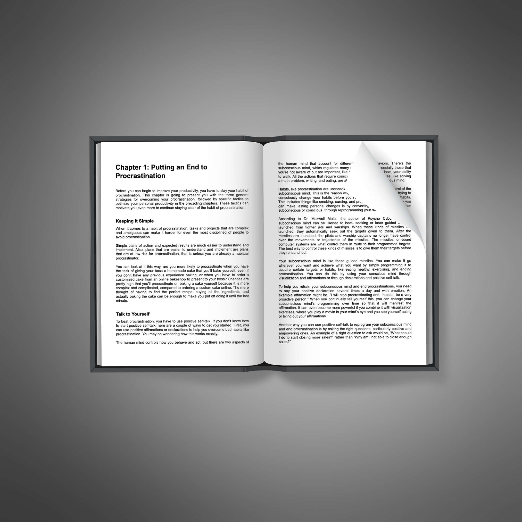 Conquer Procrastination resource preview image 5
